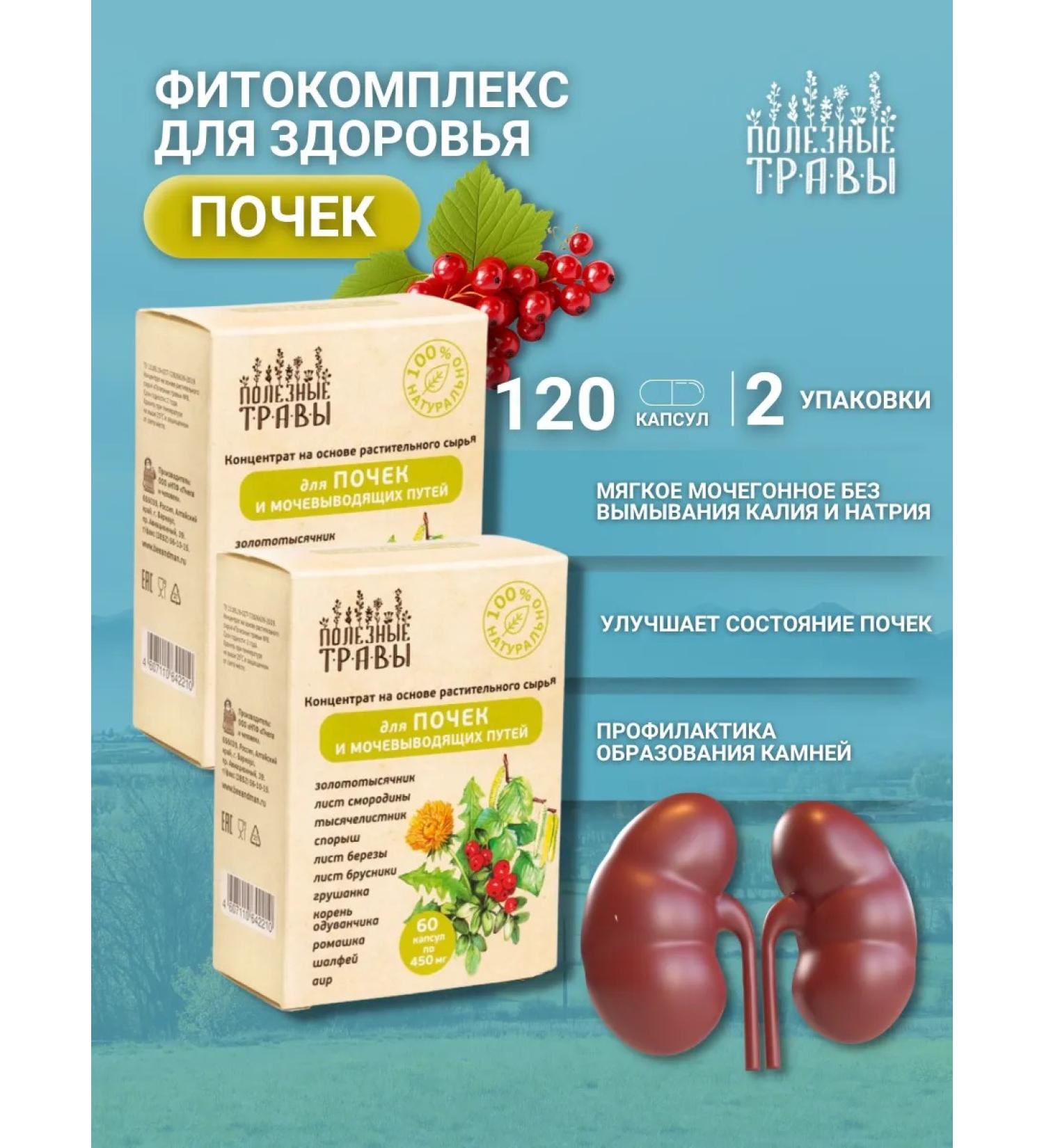 bee and man Collection for kidney health - Buy Online on GoSupps.com