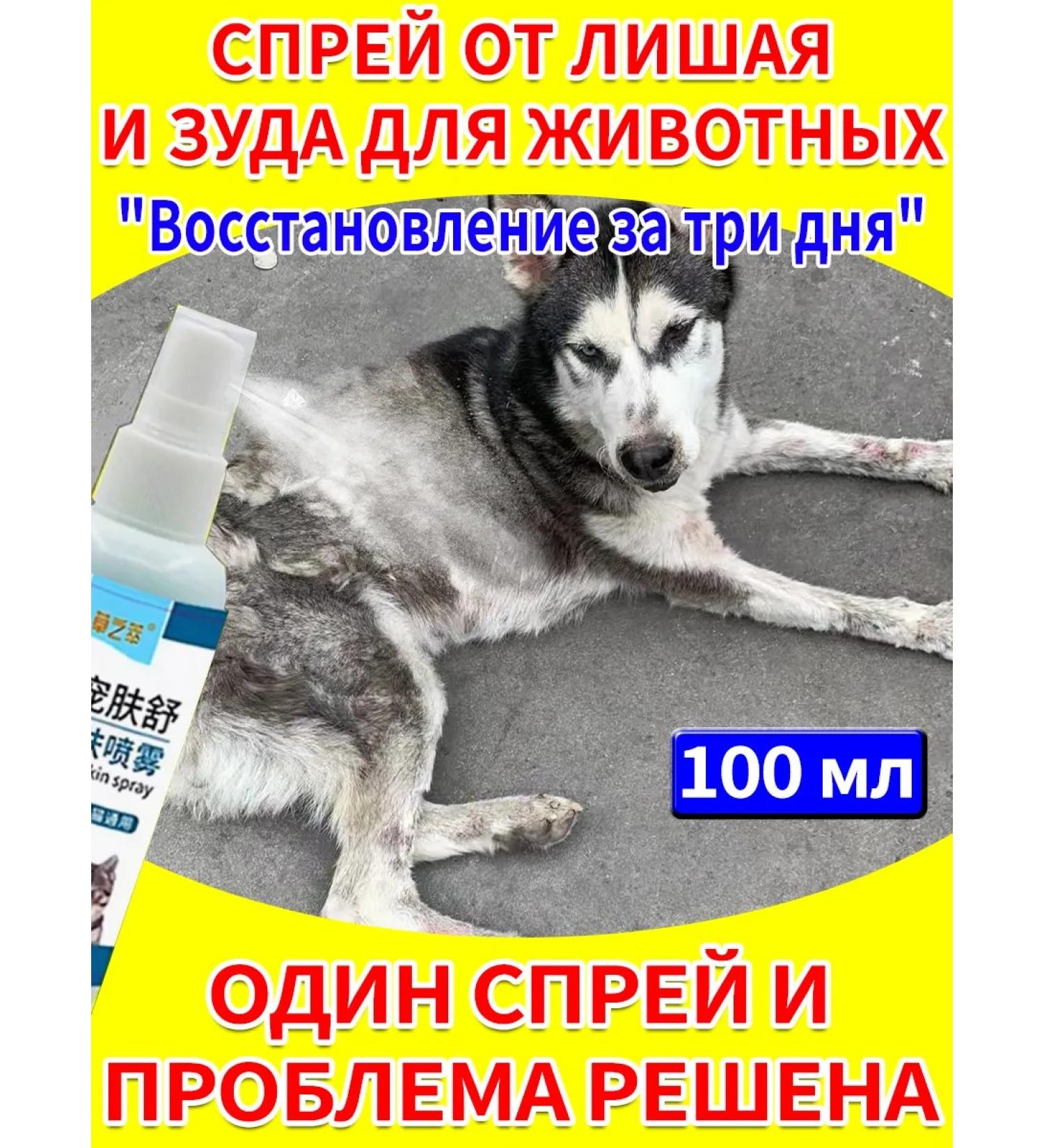 Spray from cutting lichen for cats and dogs 300 ml - Buy Online on GoSupps.com