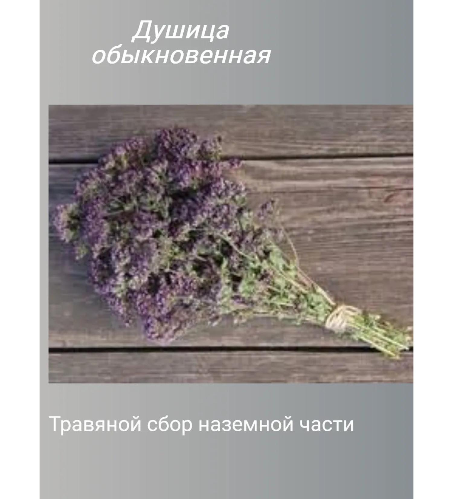 Ordinary oregano (ground part) - Buy Online on GoSupps.com