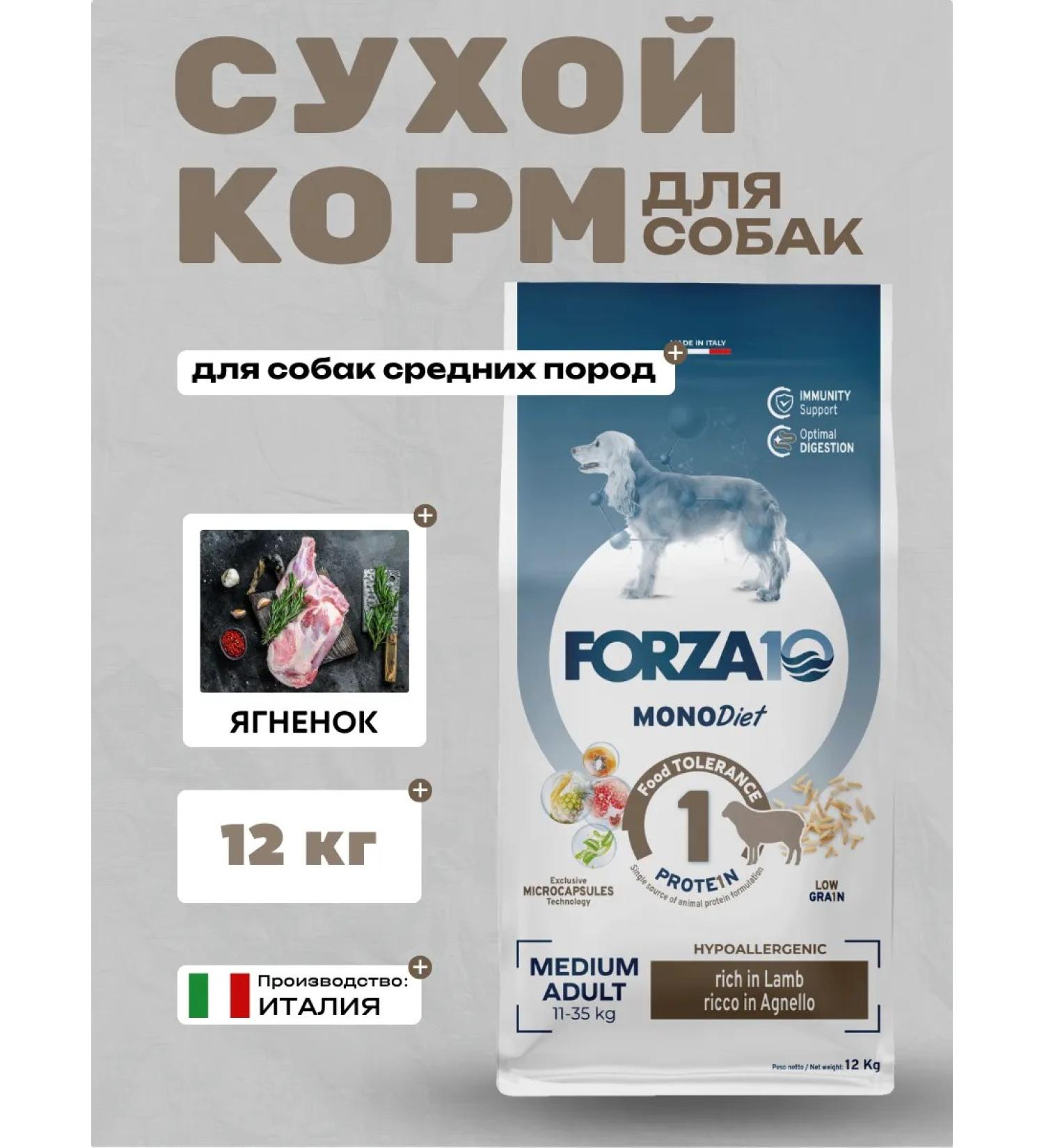 Forza10 Dry food for dogs of medium breeds with lamb 12kg