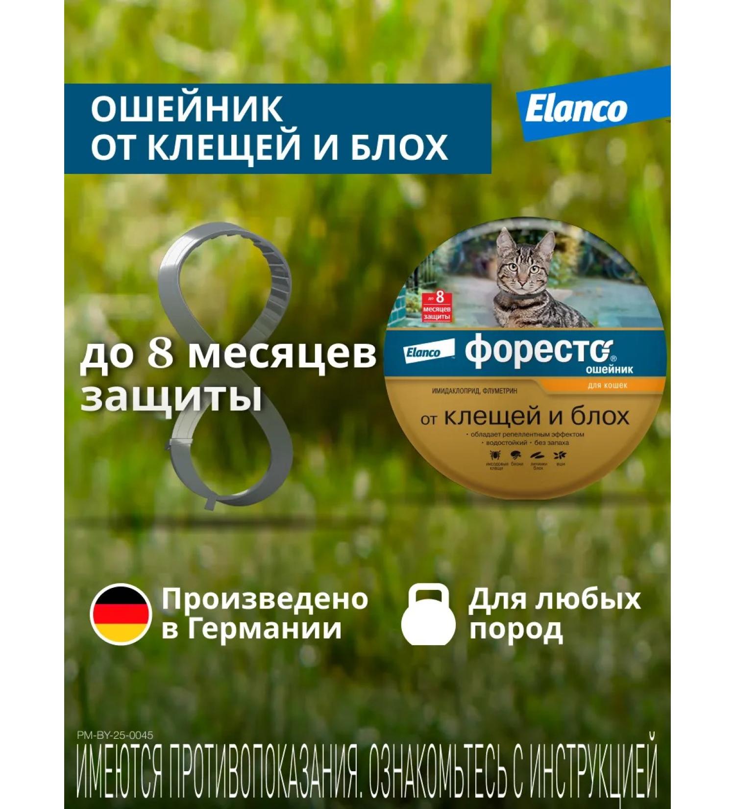 Elanco Forest collar 38 cm for cats up to 8 kg from fleas and ticks - Buy Online on GoSupps.com