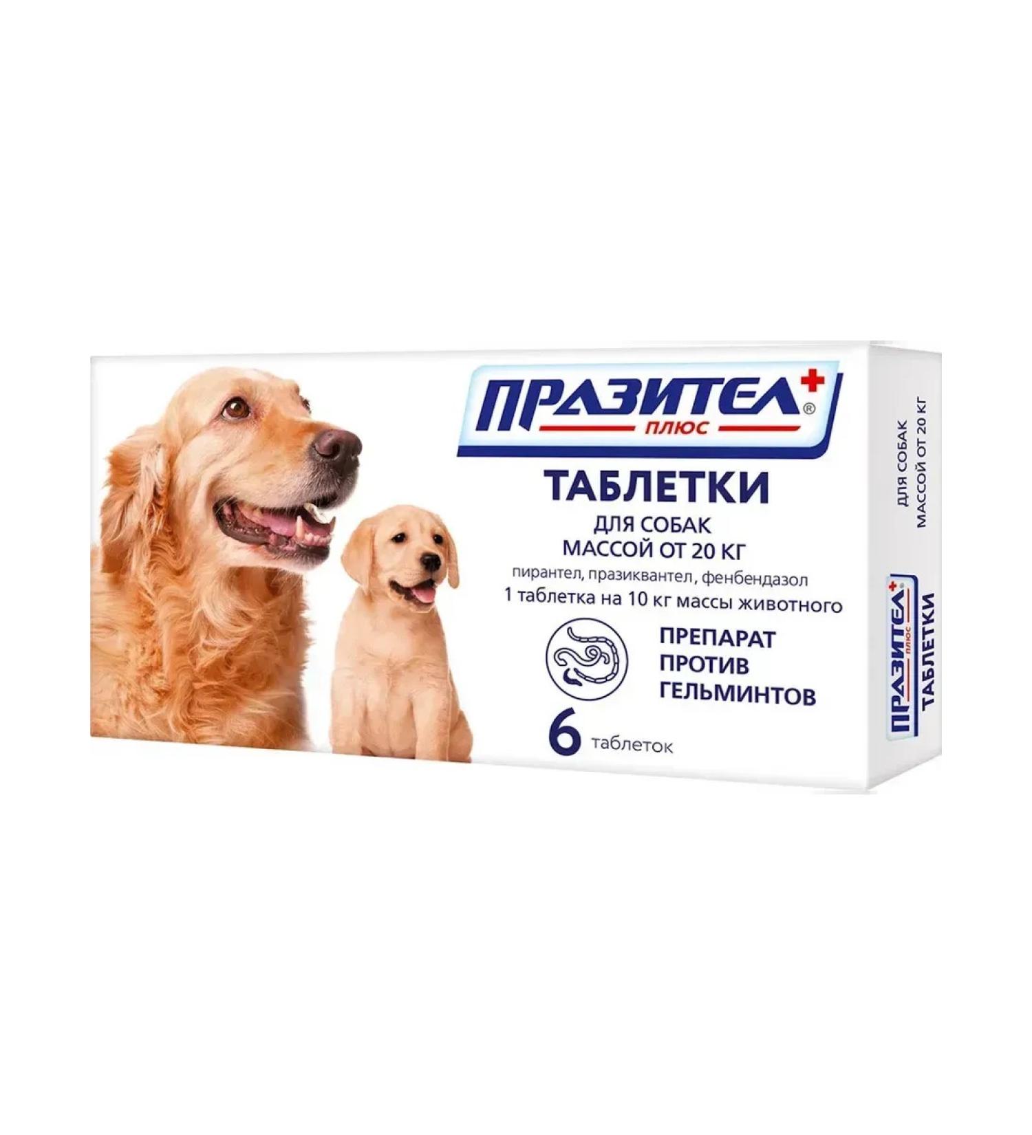 Astrapharm Prasitar anthelmintic for dogs weighing 20 kg