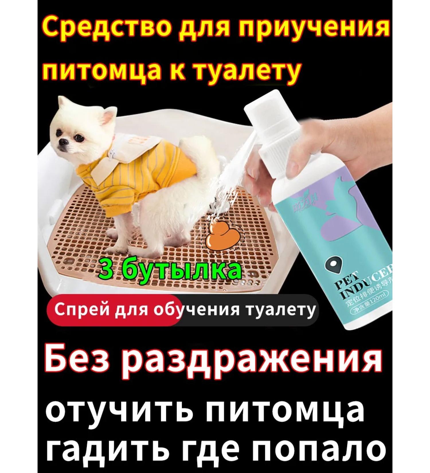 Toilet training spray 360 ml - Buy Online on GoSupps.com