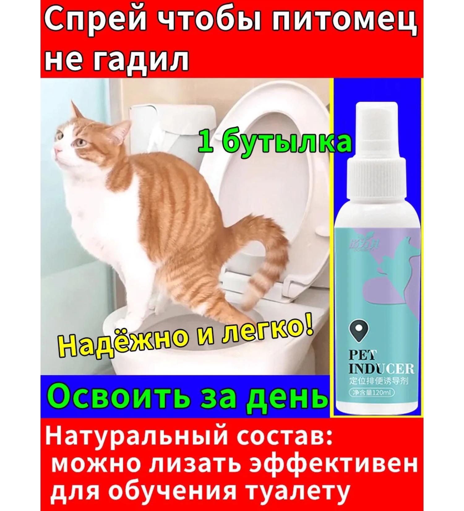 Spray for teaching to a tray of cats and dogs 120 ml - Buy Online on GoSupps.com