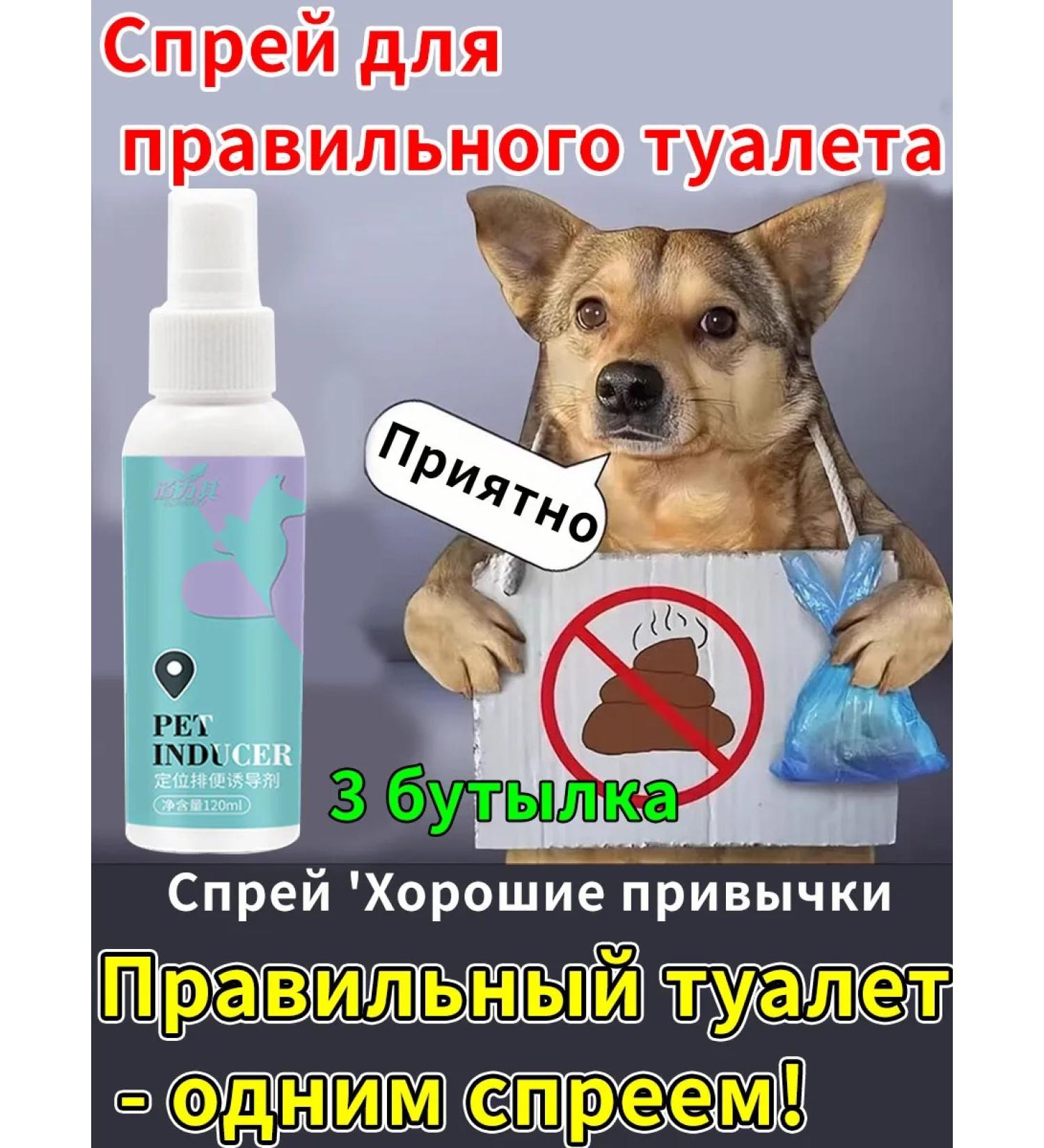 Remedy for the formation of toilet habits of a dog cat - Buy Online on GoSupps.com