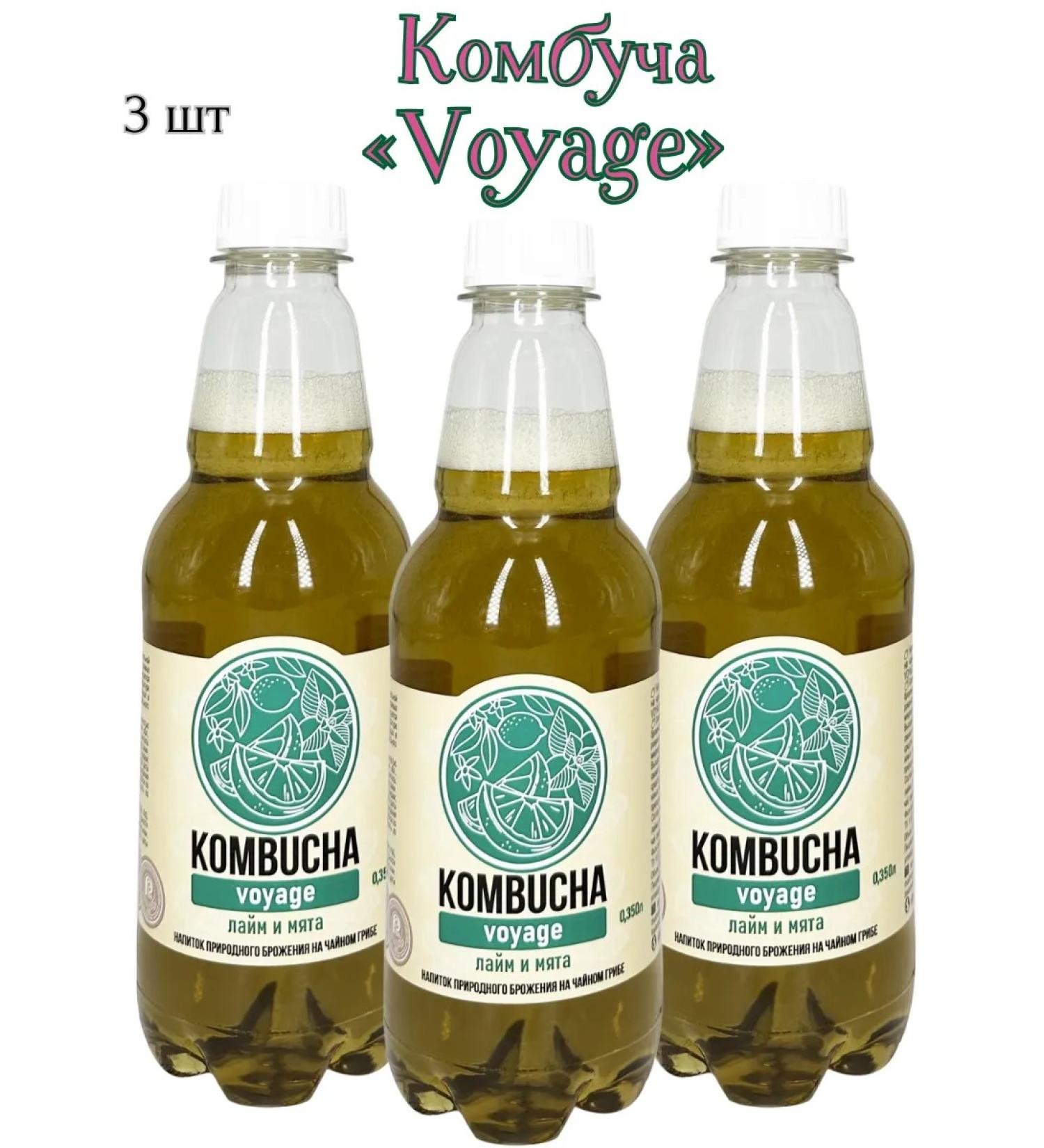 Absolute Nature Kombucha "Voyage"-a nursery mushroom with lime juice and mint 3sh*0.350l - Buy Online on GoSupps.com
