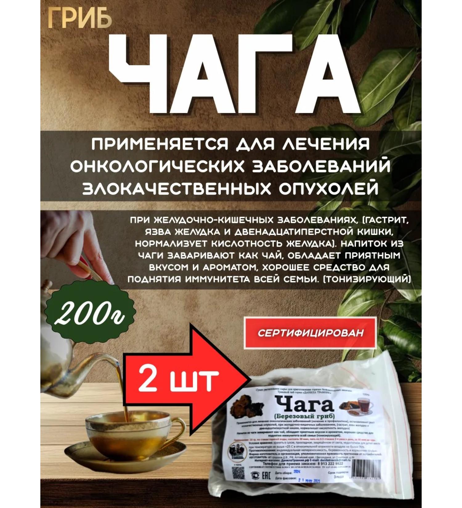 Chaga birch mushroom 2pcs - Buy Online on GoSupps.com