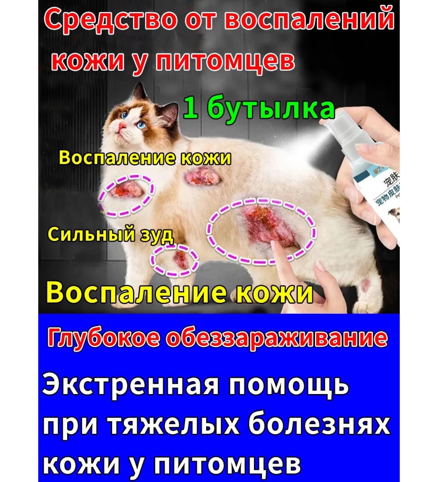 Spray from itching for cats and dogs 100ml - Buy Online on GoSupps.com