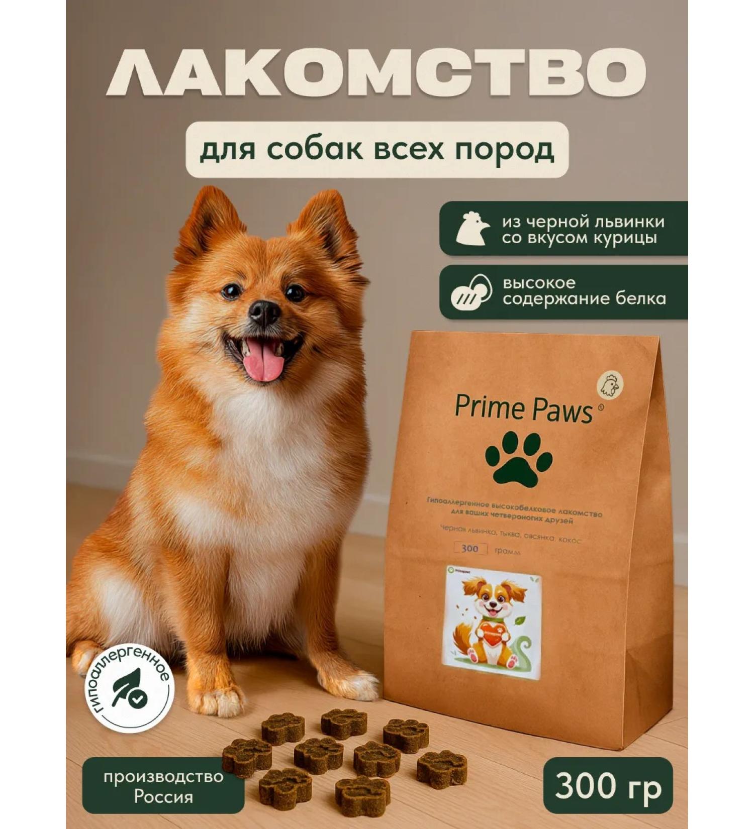 Prime Paws Black lion's dog treatments with chicken -taste 300g - Buy Online on GoSupps.com