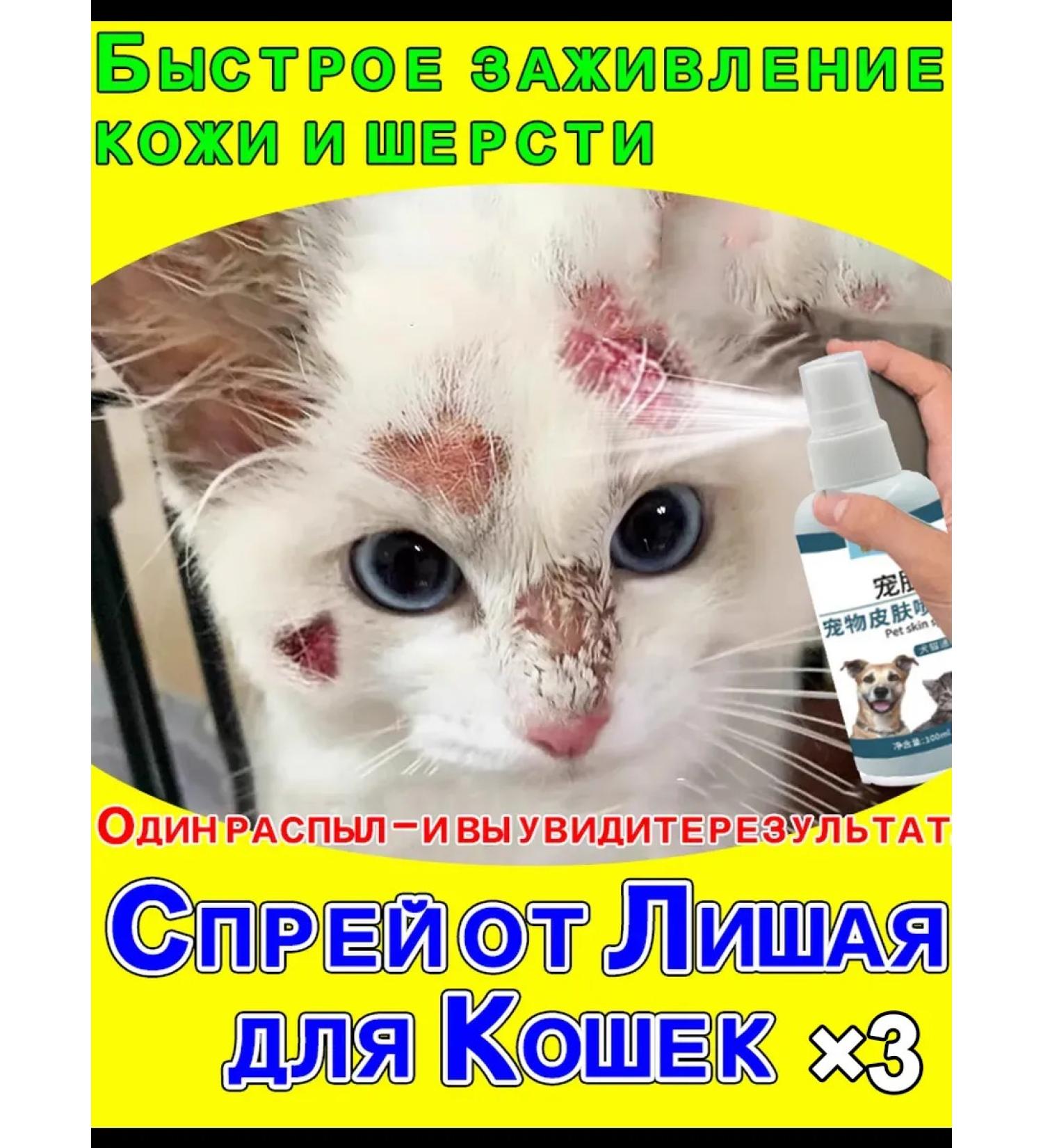 Spray from itching for cats 100 ml - Buy Online on GoSupps.com