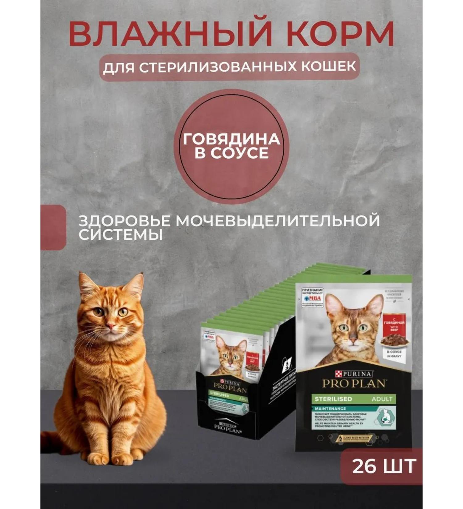PRO PLAN Wet food sterilized beef in sauce 85g x 26pcs - Buy Online on GoSupps.com