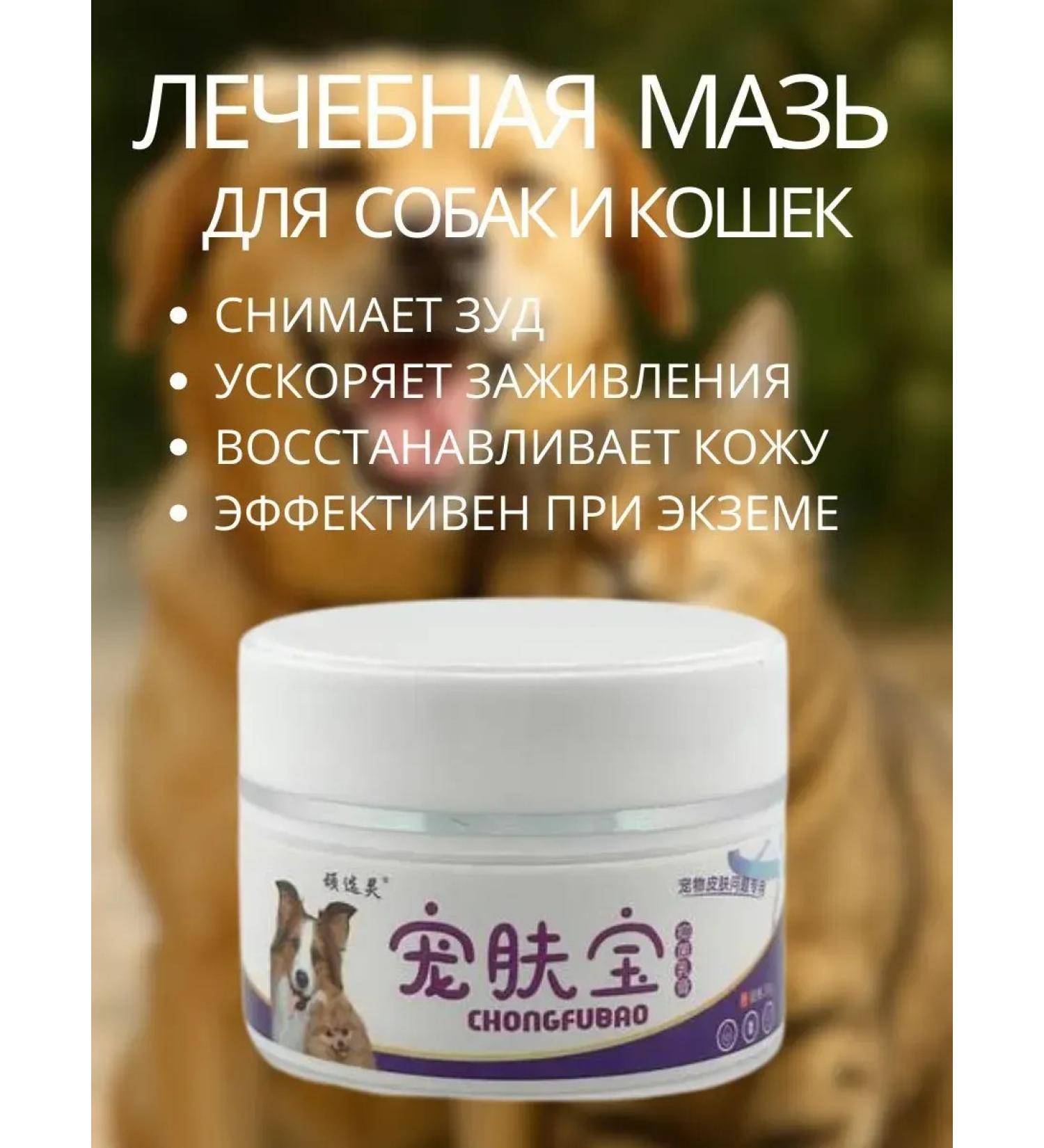 COCOLIN Therapeutic ointment for pets from itching - Buy Online on GoSupps.com