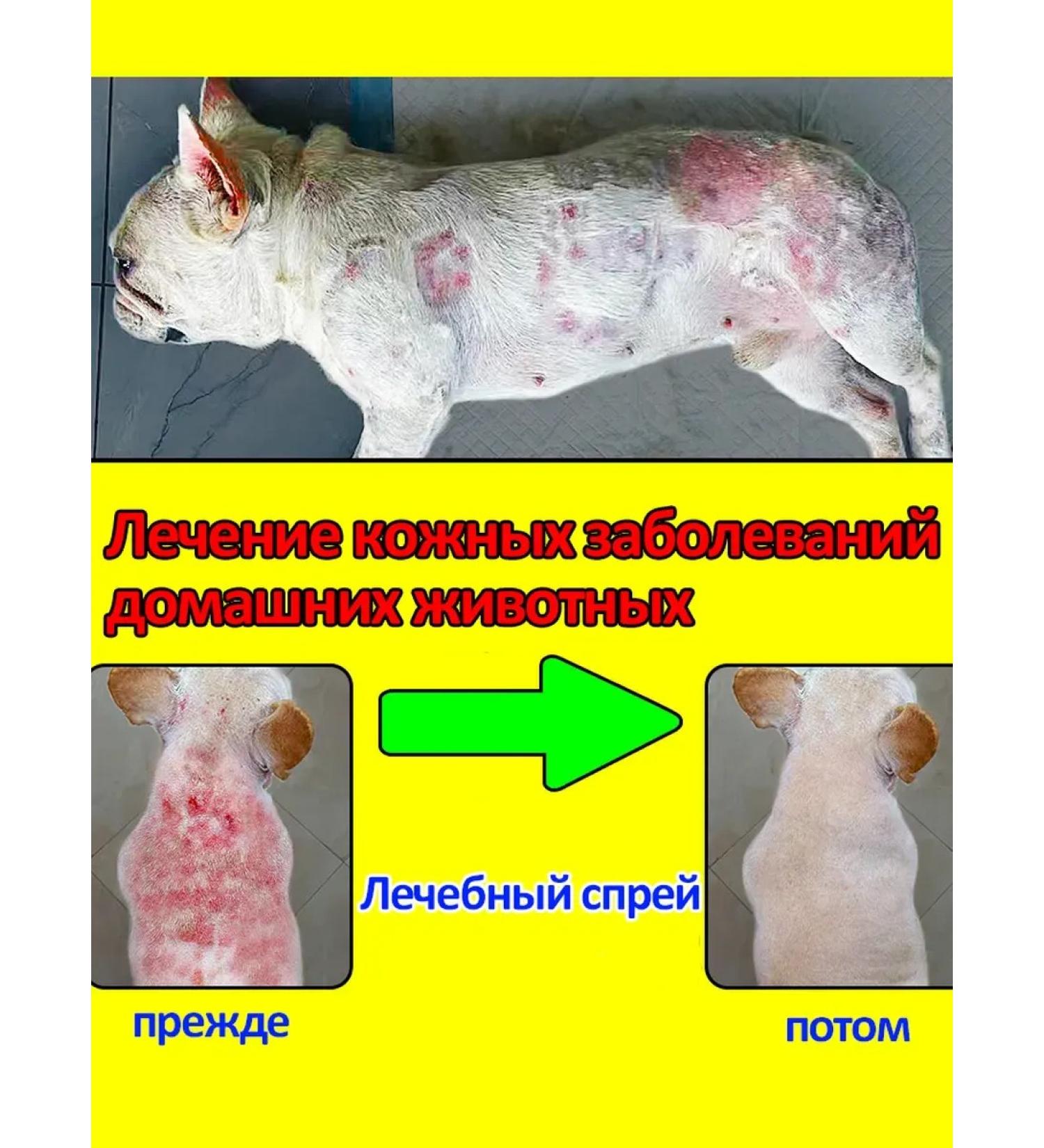 Spray from itching and depriving for cats and dogs - Buy Online on GoSupps.com