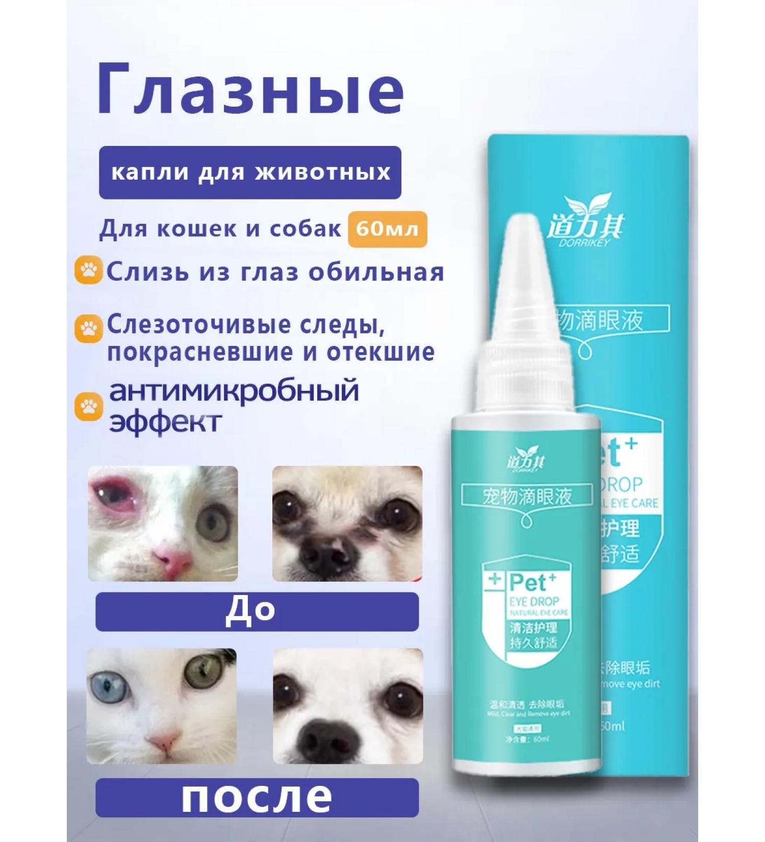 Eye drops for animals 60 ml - Buy Online on GoSupps.com