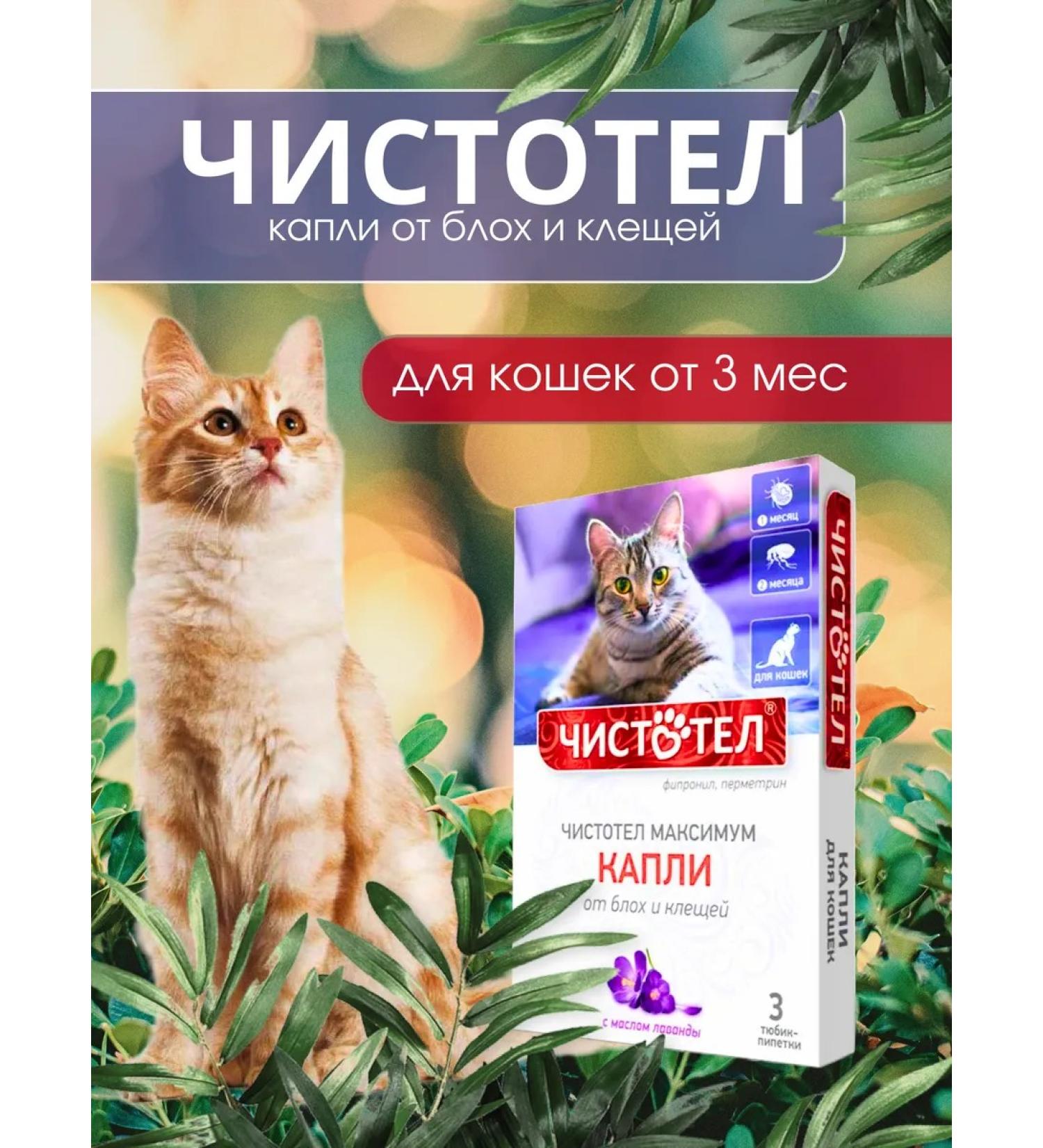 Celandine Drops from fleas and ticks for cats - Buy Online on GoSupps.com