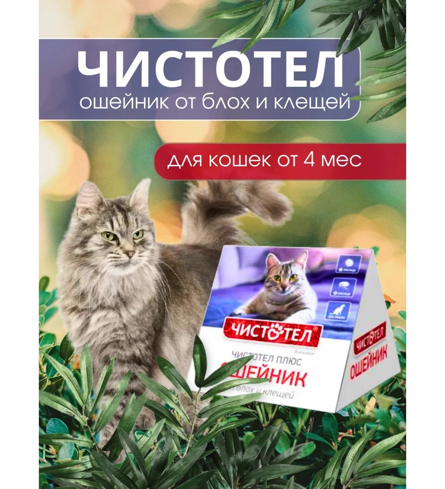 Celandine A collar from fleas and ticks for cats house - Buy Online on GoSupps.com