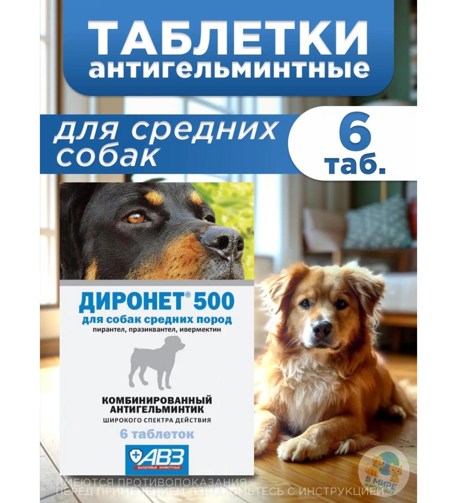 AVZ Dironet 500 for medium dogs 6 table - Buy Online on GoSupps.com