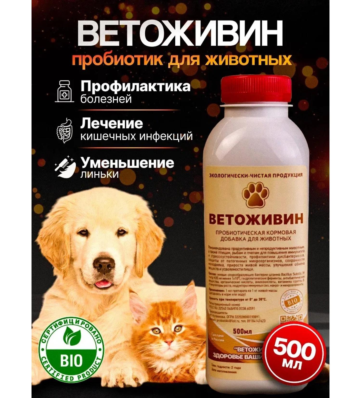 IP Kotenkova Premium Probiotic "Vetozhin" super effect! - Buy Online on GoSupps.com