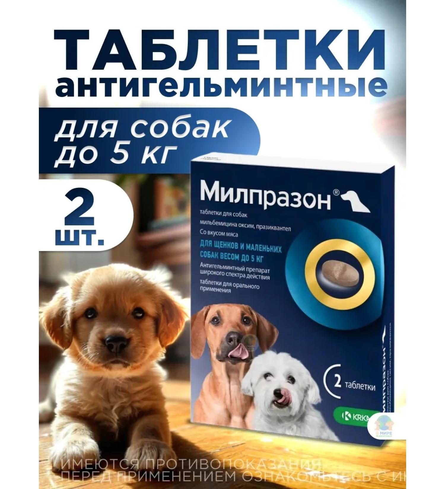 KRKA Milprazone Dog tablets  - Buy Online on GoSupps.com