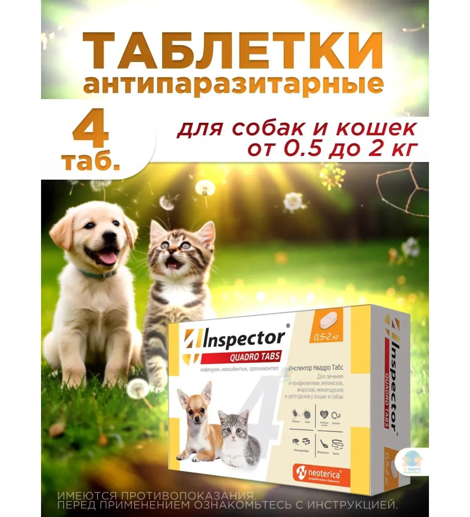 Neoterica Inspector Quadro Tabs for dogs and cats from 0.5 to 2 kg