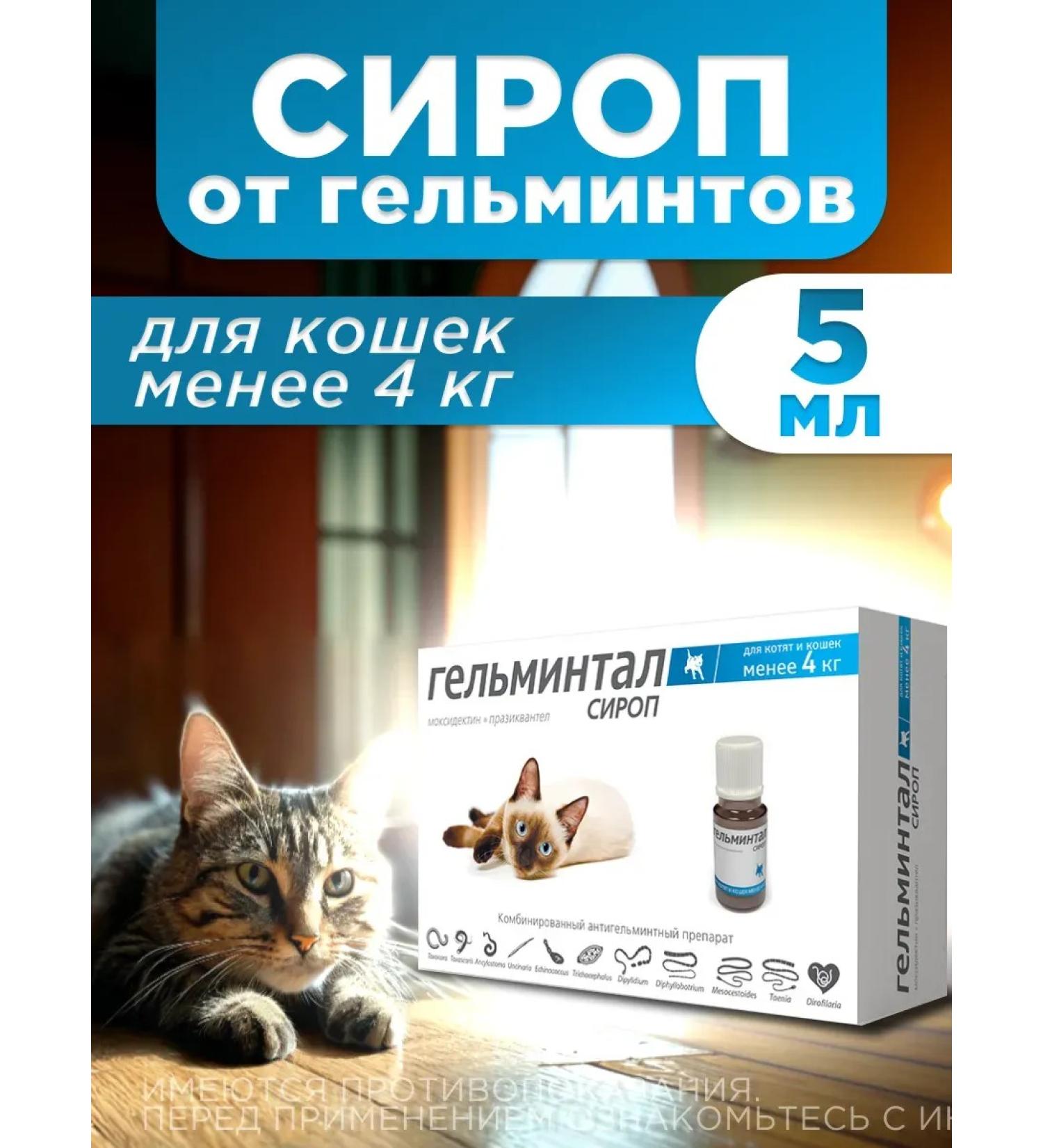 Helminthal syrup from cats for cats less than 4 kg - Buy Online on GoSupps.com