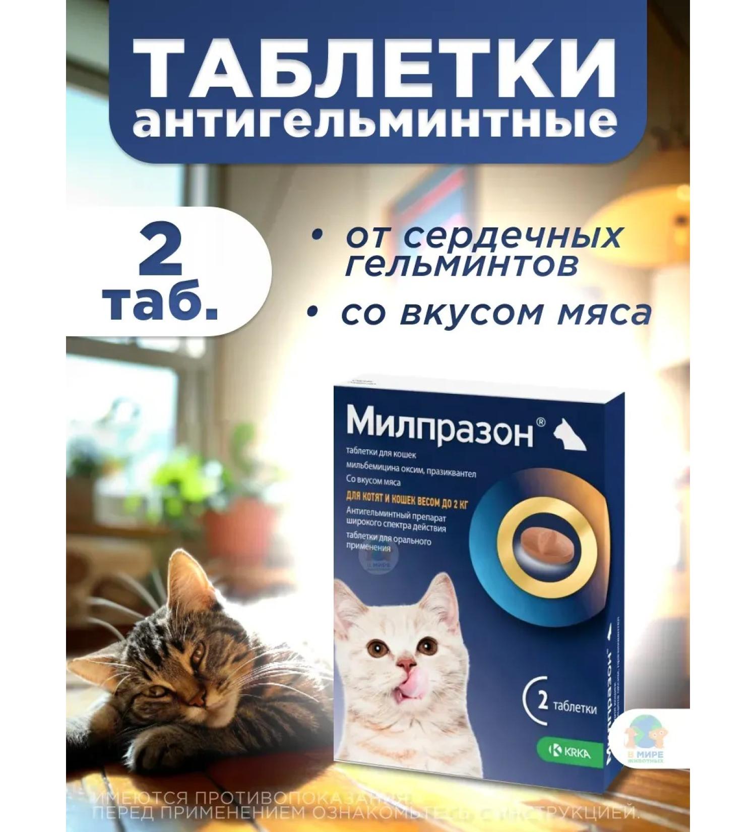KRKA Milprazone for kittens tablets from helminths - Buy Online on GoSupps.com