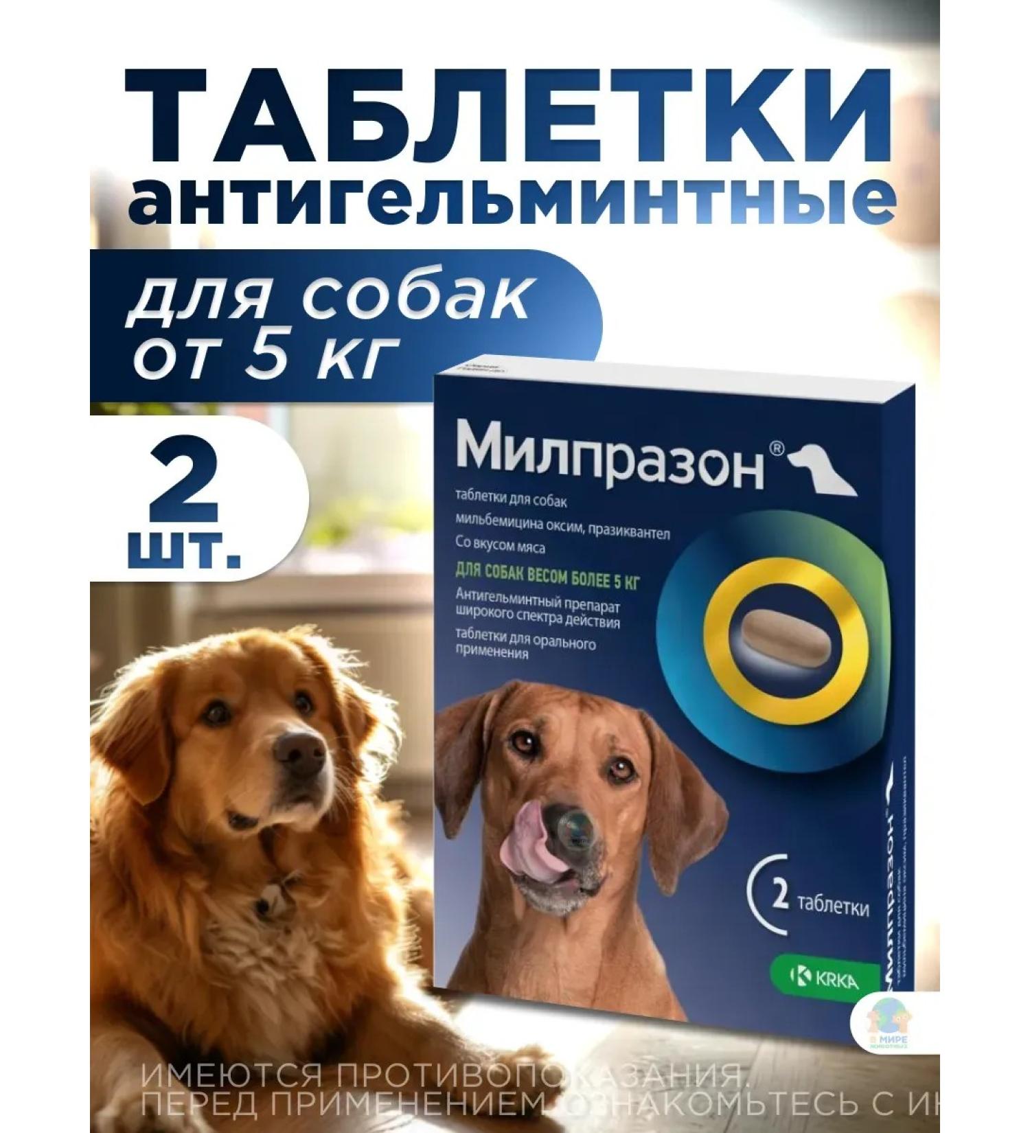 KRKA Milprazone tablets for dogs more than5 kg - Buy Online on GoSupps.com