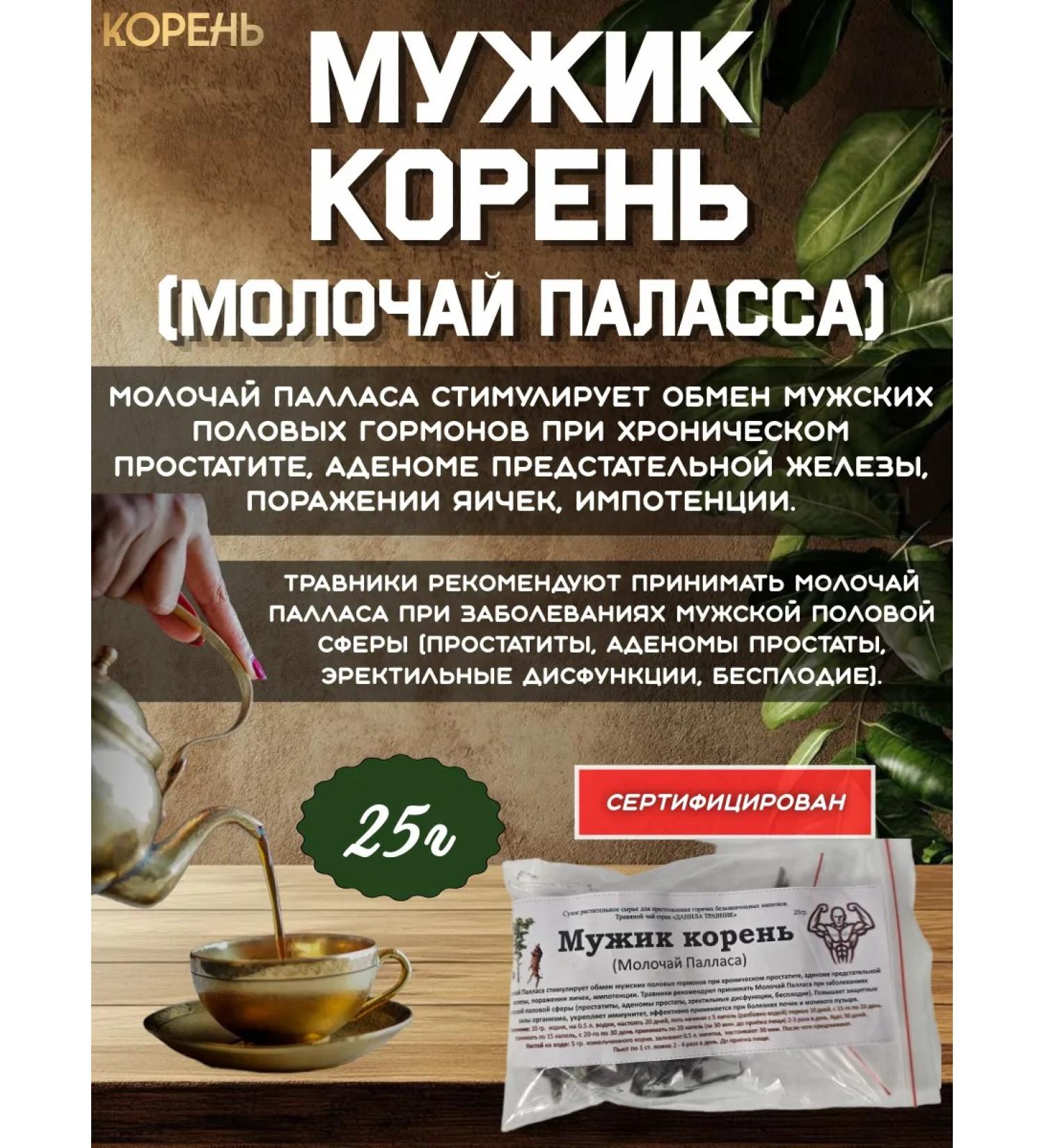 Danila Travnik Man the root - Buy Online on GoSupps.com