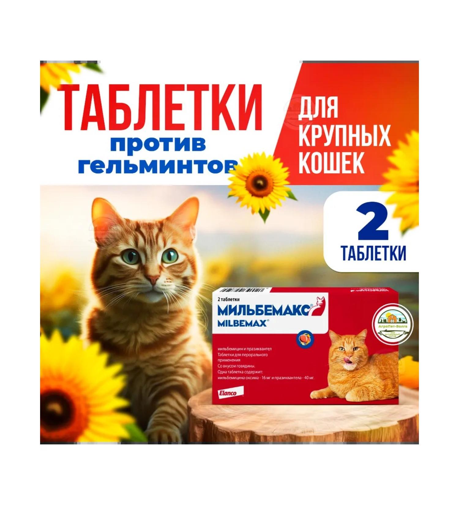 Elanco Milbemax tablets against cats more than 2kg - Buy Online on GoSupps.com