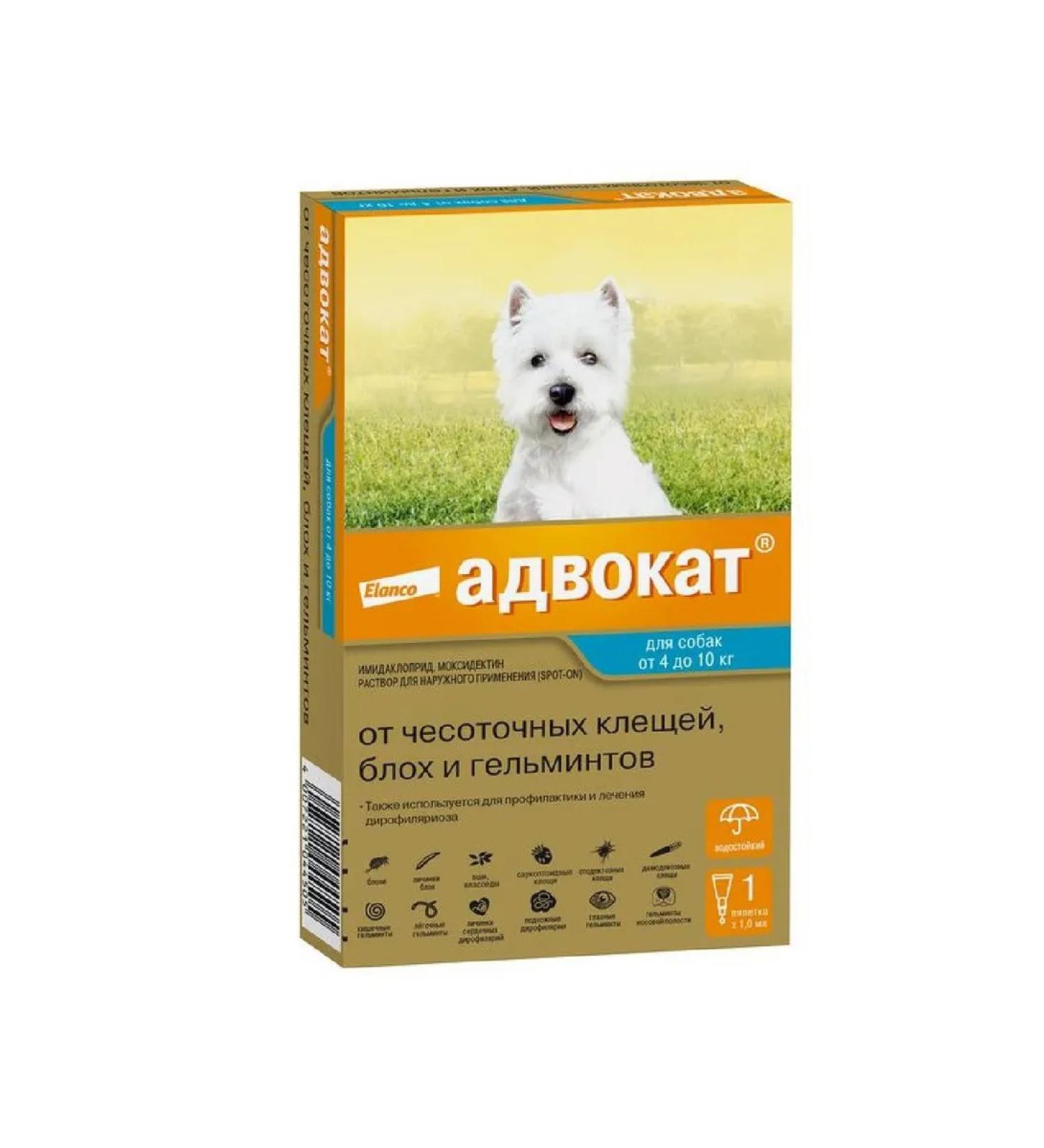 Bayer Antiparasitar for dogs 4-10kg 1P*1ml - Buy Online on GoSupps.com