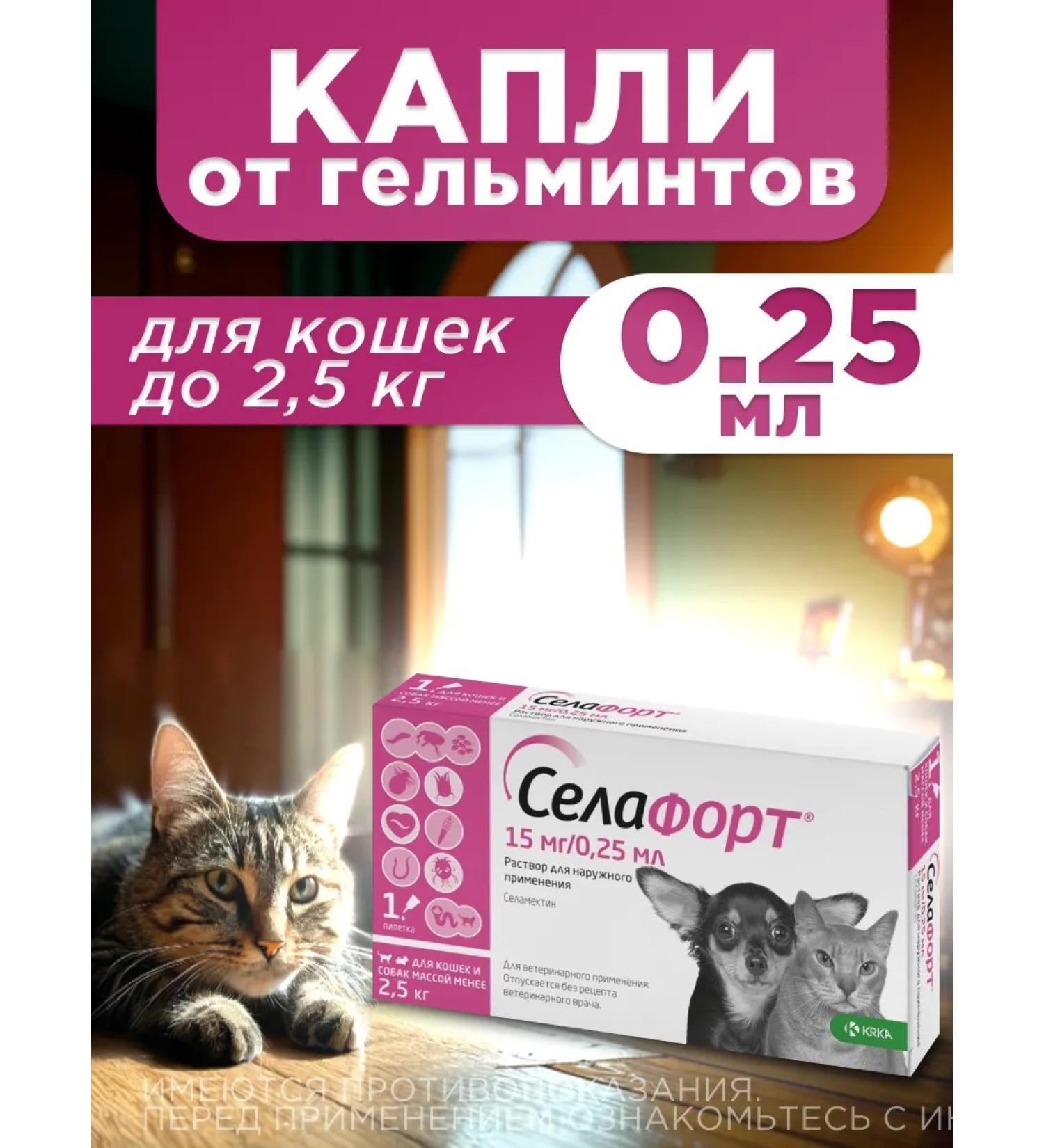 KRKA Sealess for cats weighing less than 2.5 kg