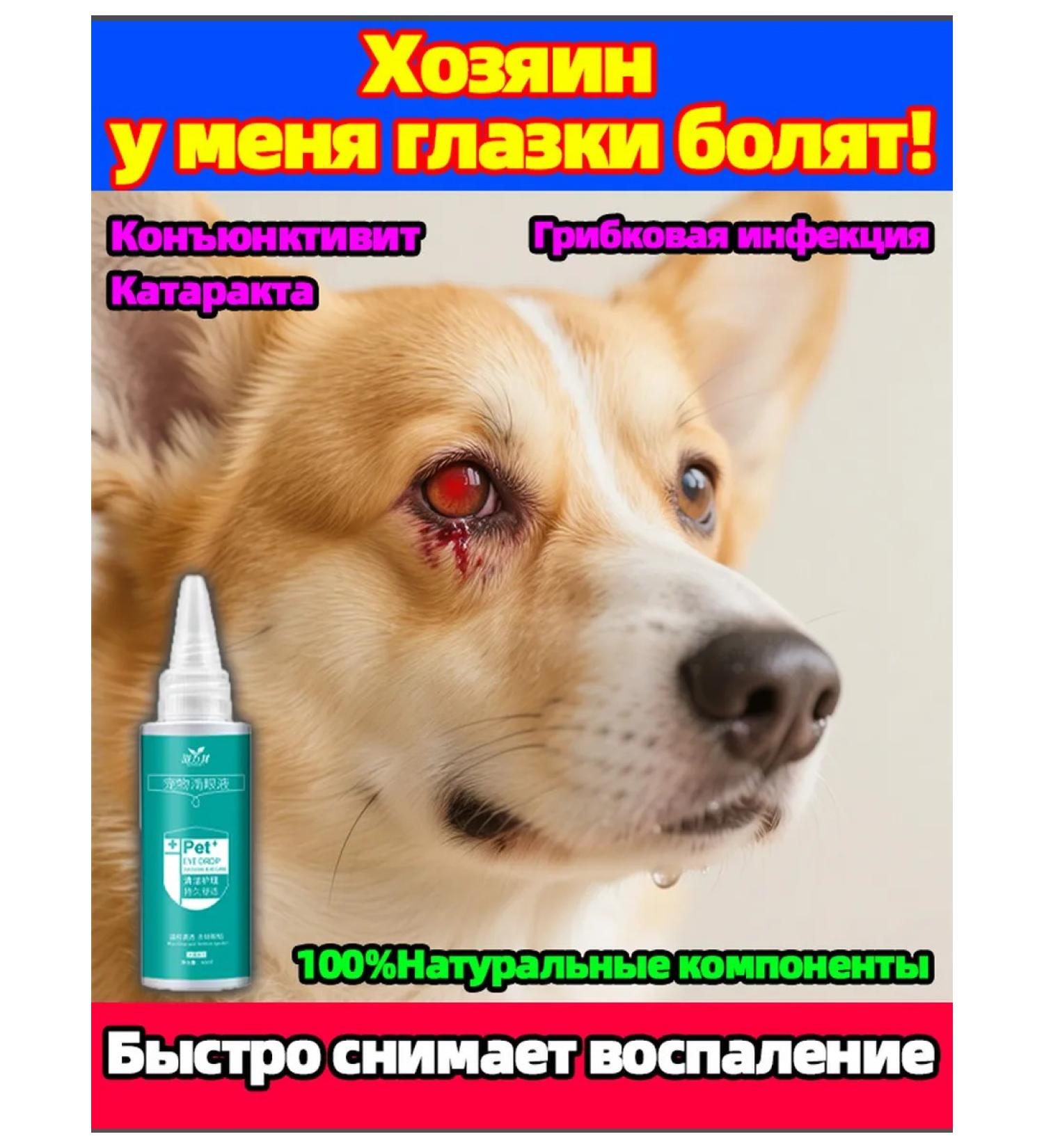 Eye drops for cats and dogs with conjunctivitis 180 ml - Buy Online on GoSupps.com