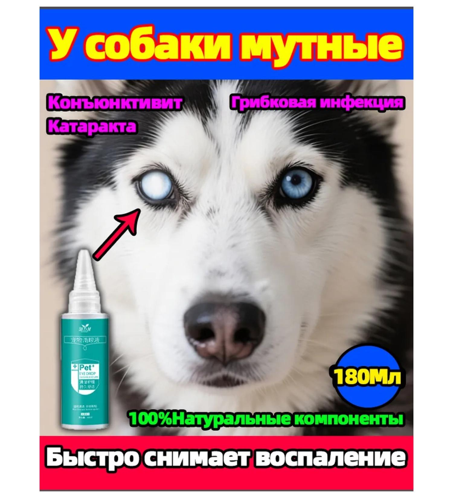 Drops for the eyes of dogs and cats - Buy Online on GoSupps.com