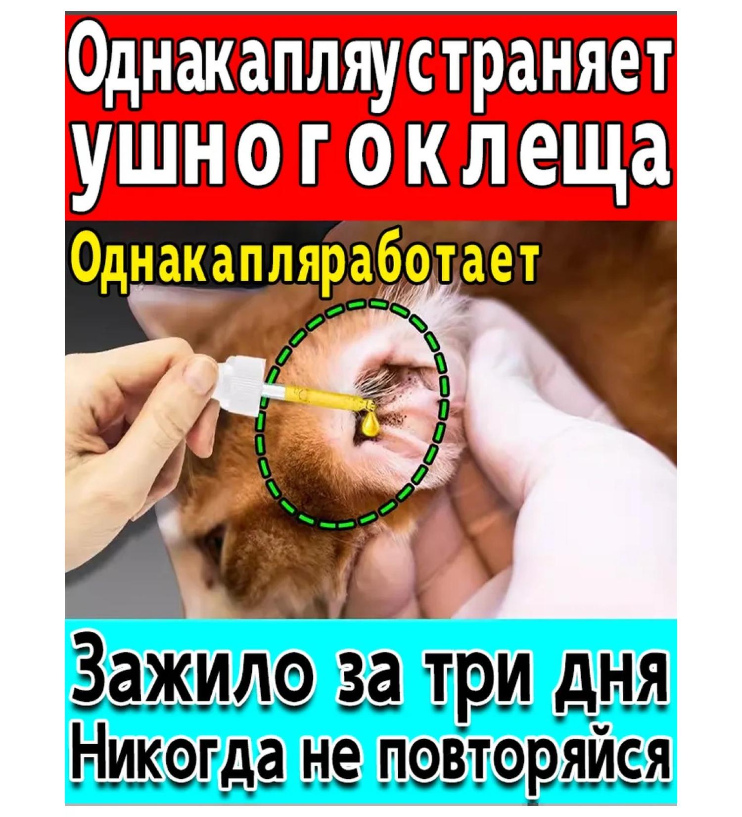 Ear drops for cats and dogs from ticks 60ml - Buy Online on GoSupps.com