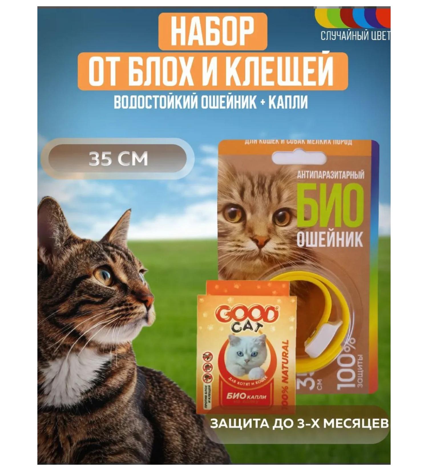 Set of drops and 1 collar - Buy Online on GoSupps.com