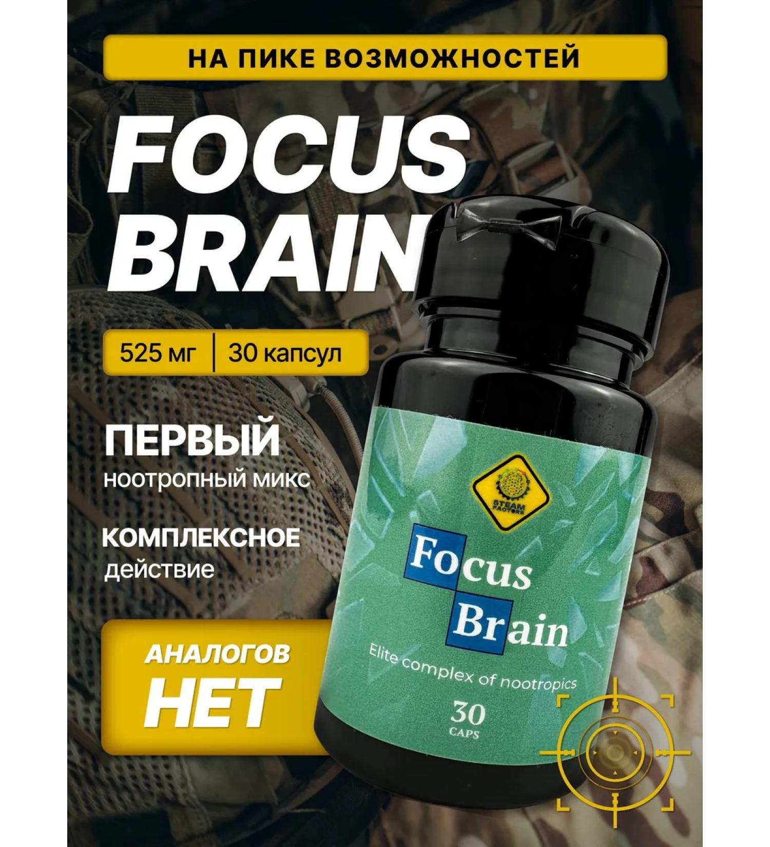 Steam Factors Nootropus Focus Brain with methylene blue 30k to aniracetes - Buy Online on GoSupps.com