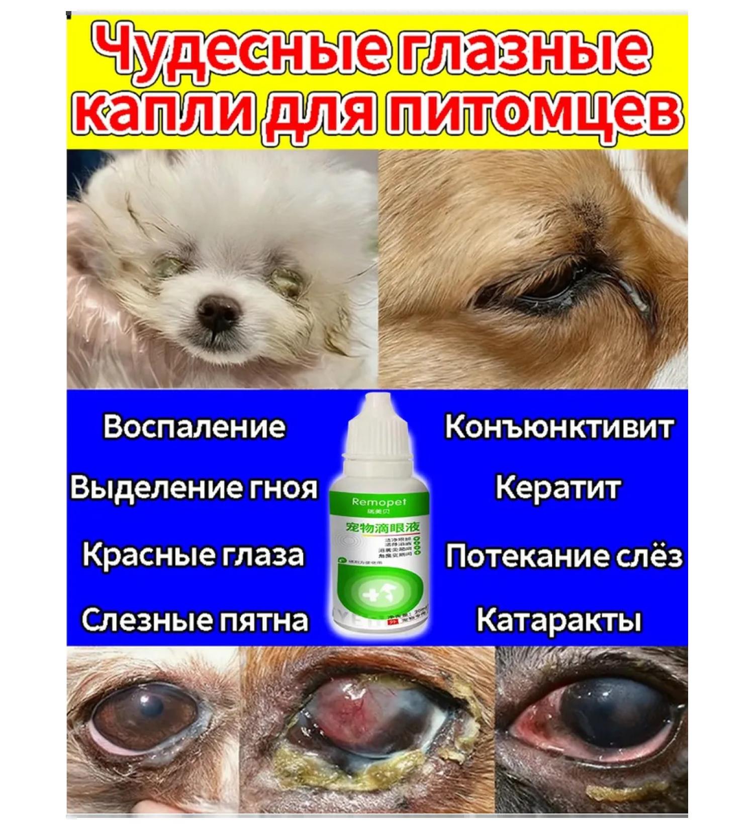 Drops for the eyes of dogs and cats 60 ml - Buy Online on GoSupps.com