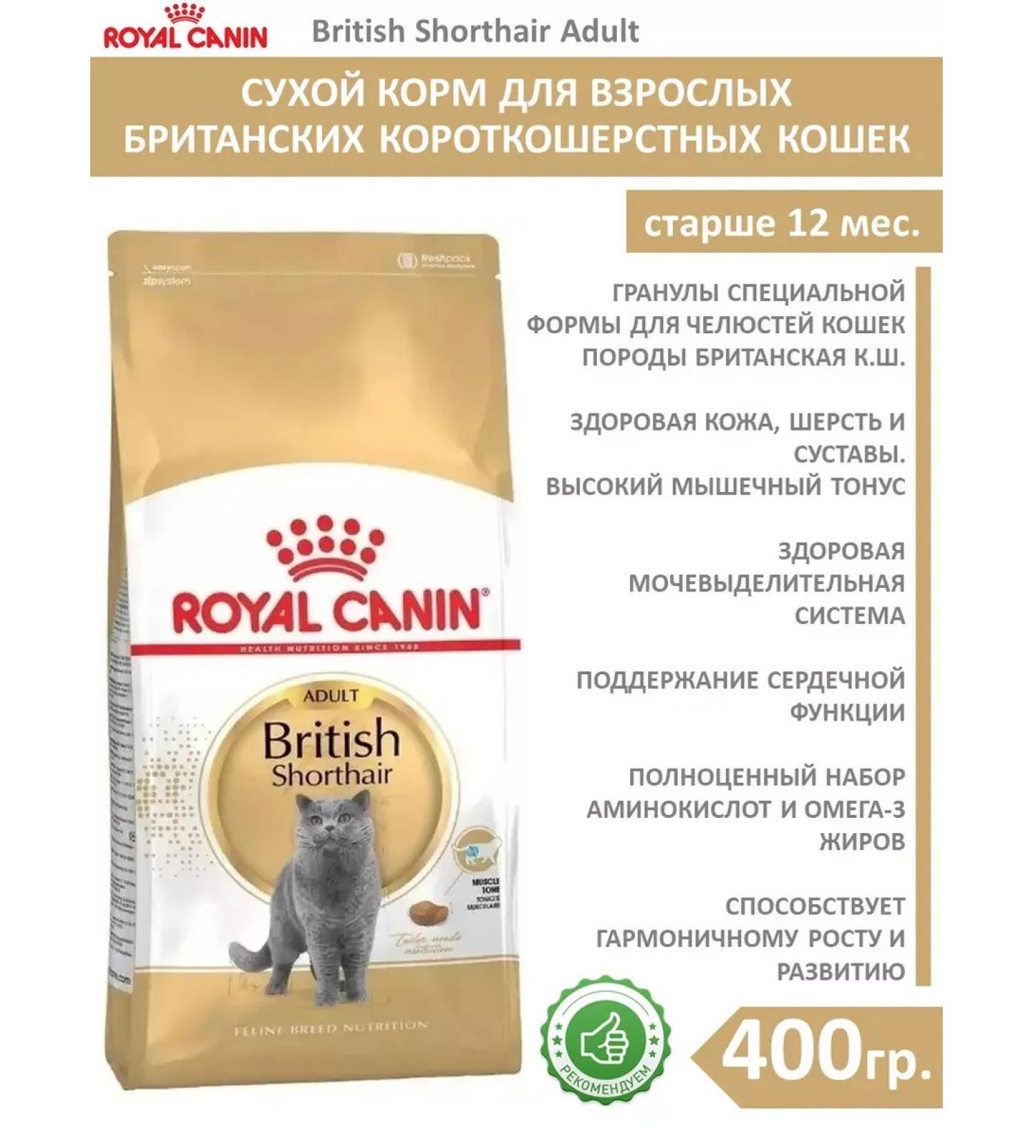 ROYAL CANIN Dry food for British cats 0.4kg - Buy Online on GoSupps.com