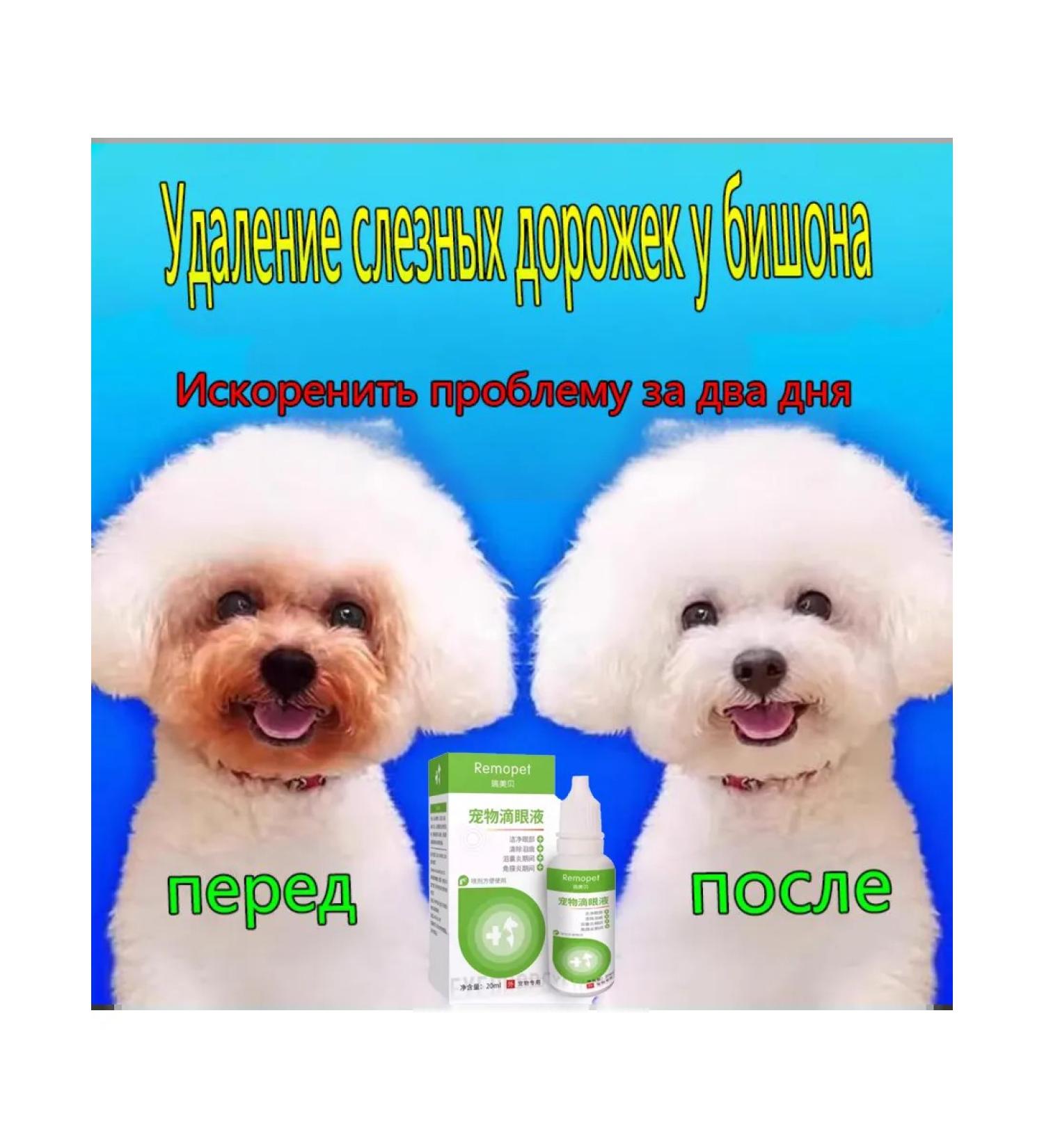 Remedy for removing tear spots in animals - Buy Online on GoSupps.com