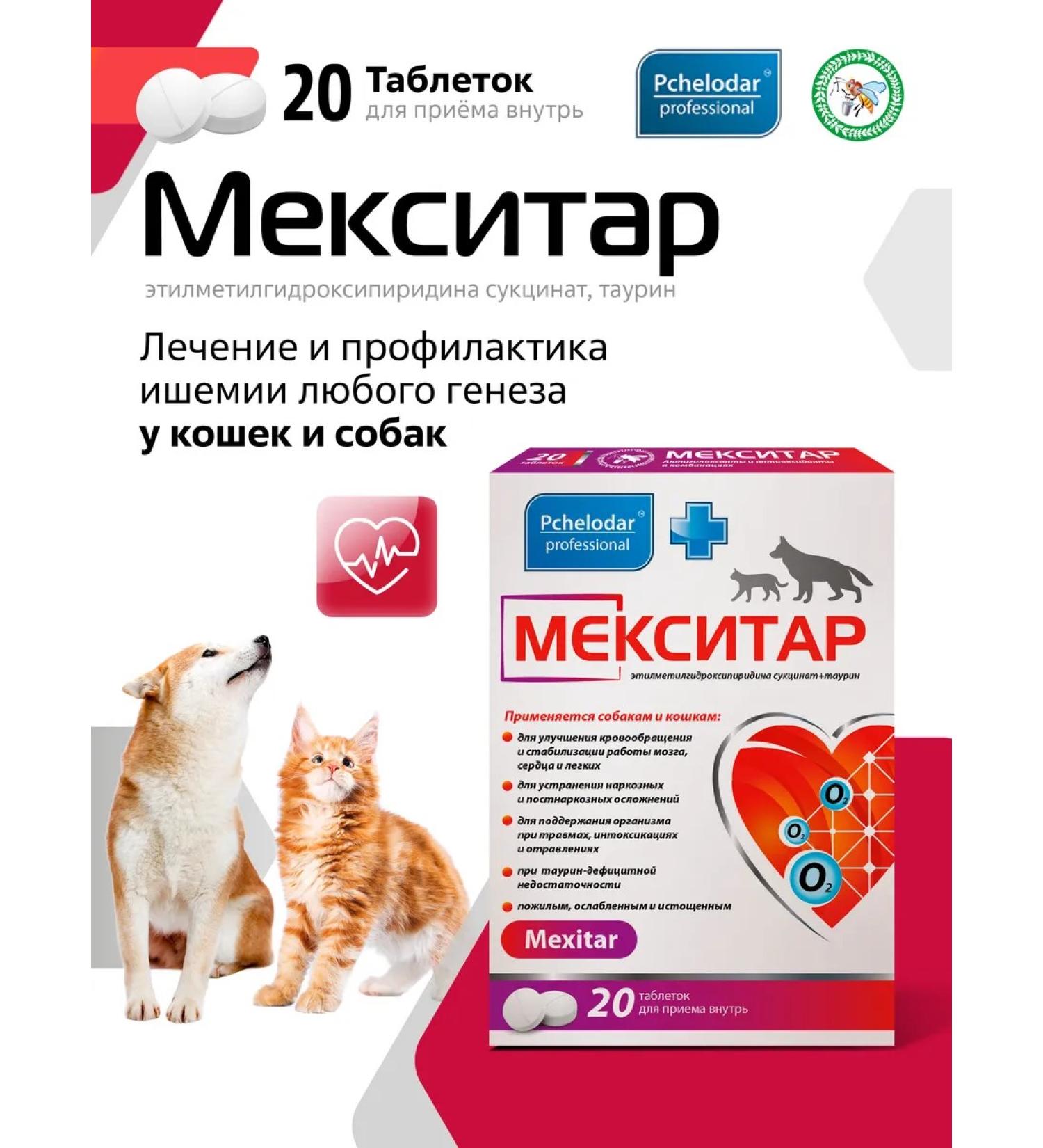 Beekeeper Mexicar Lnchelia and the prevention of ischemia in cats and dogs - Buy Online on GoSupps.com