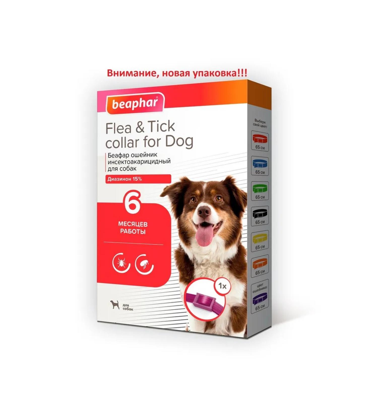 beaphar Belch collar for dogs Violet 65cm