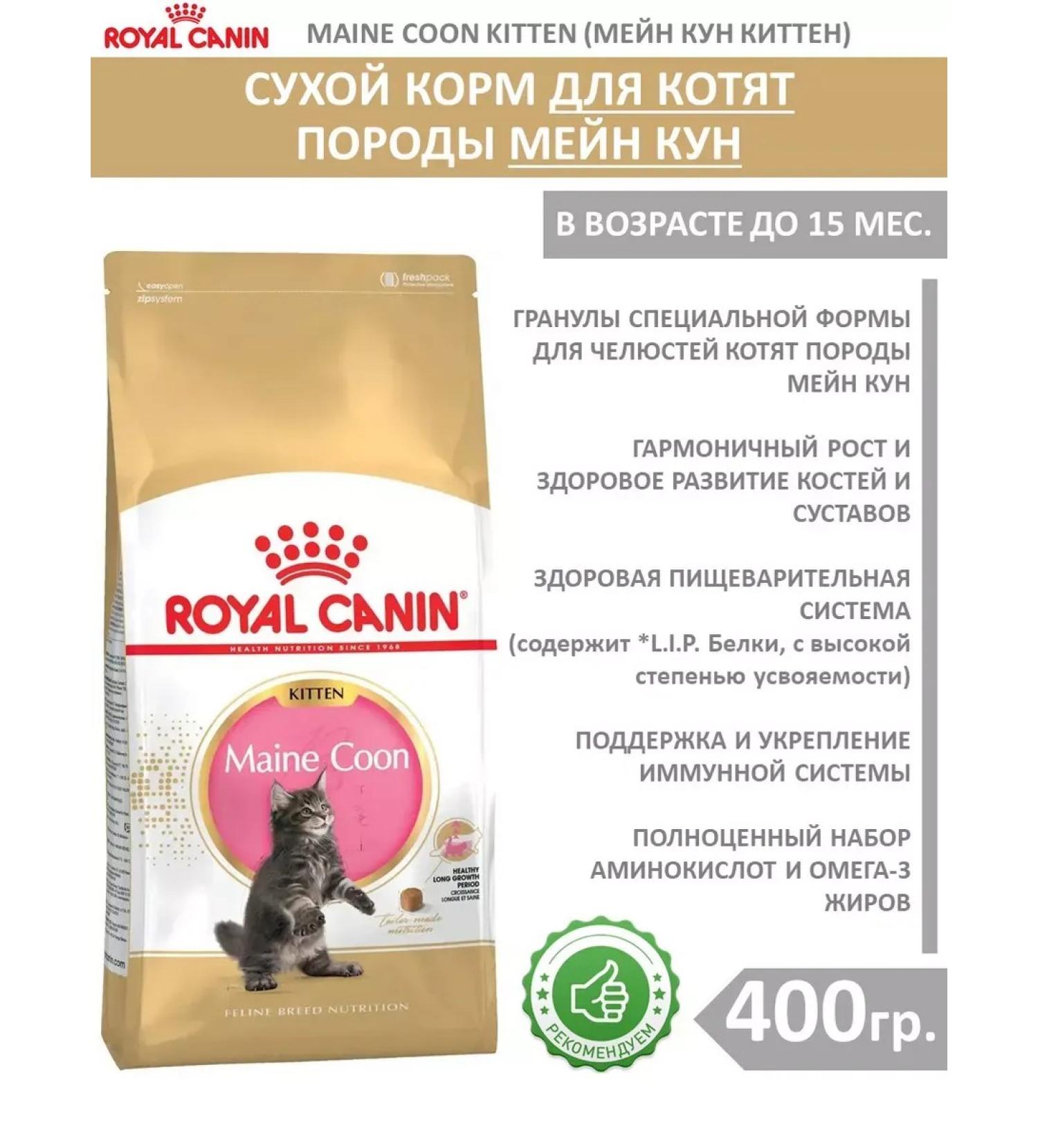 ROYAL CANIN Dry food 0.4 kg for kittens Maine Kun Kitten (Kitten) - Buy Online on GoSupps.com