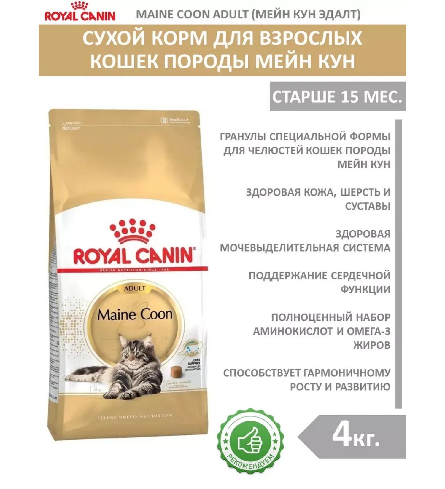ROYAL CANIN Dry food 4 kg for cats Maine Coon (Maine Coon) - Buy Online on GoSupps.com