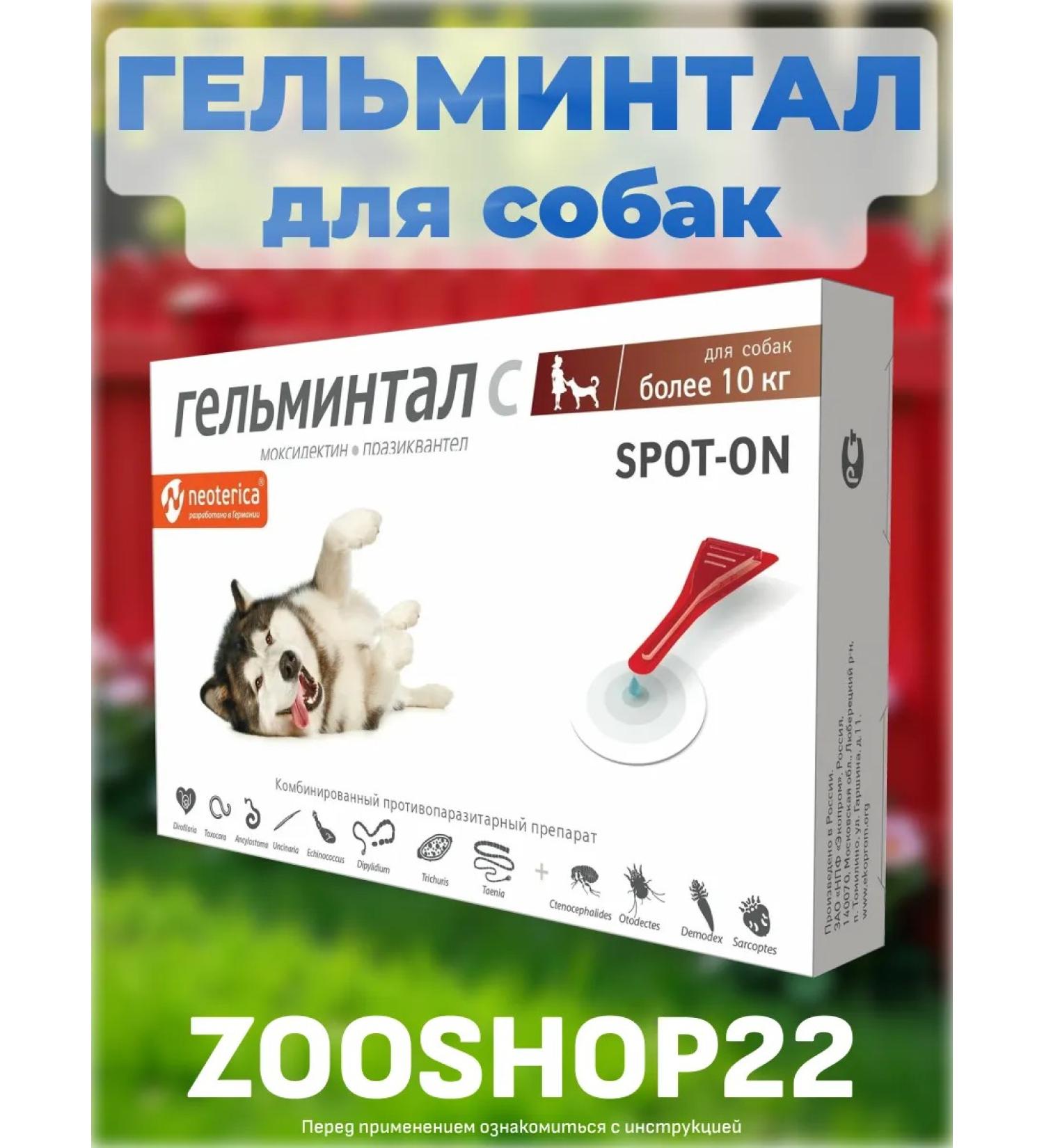 Neoterica Helminatal STRTS Drops from worms for dogs from 10 kg - Buy Online on GoSupps.com