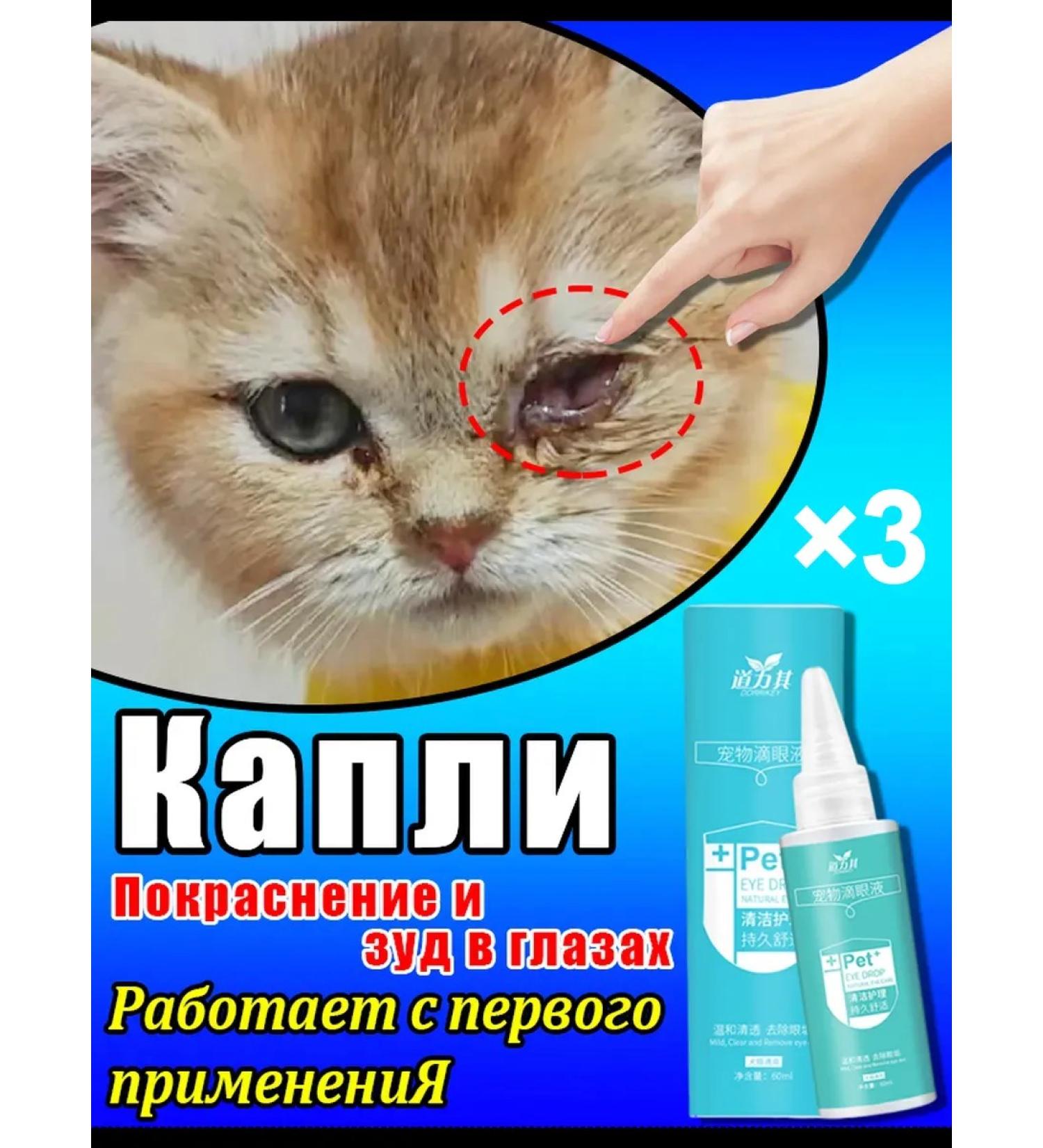 Bio drops eye drops for cats and dogs - Buy Online on GoSupps.com