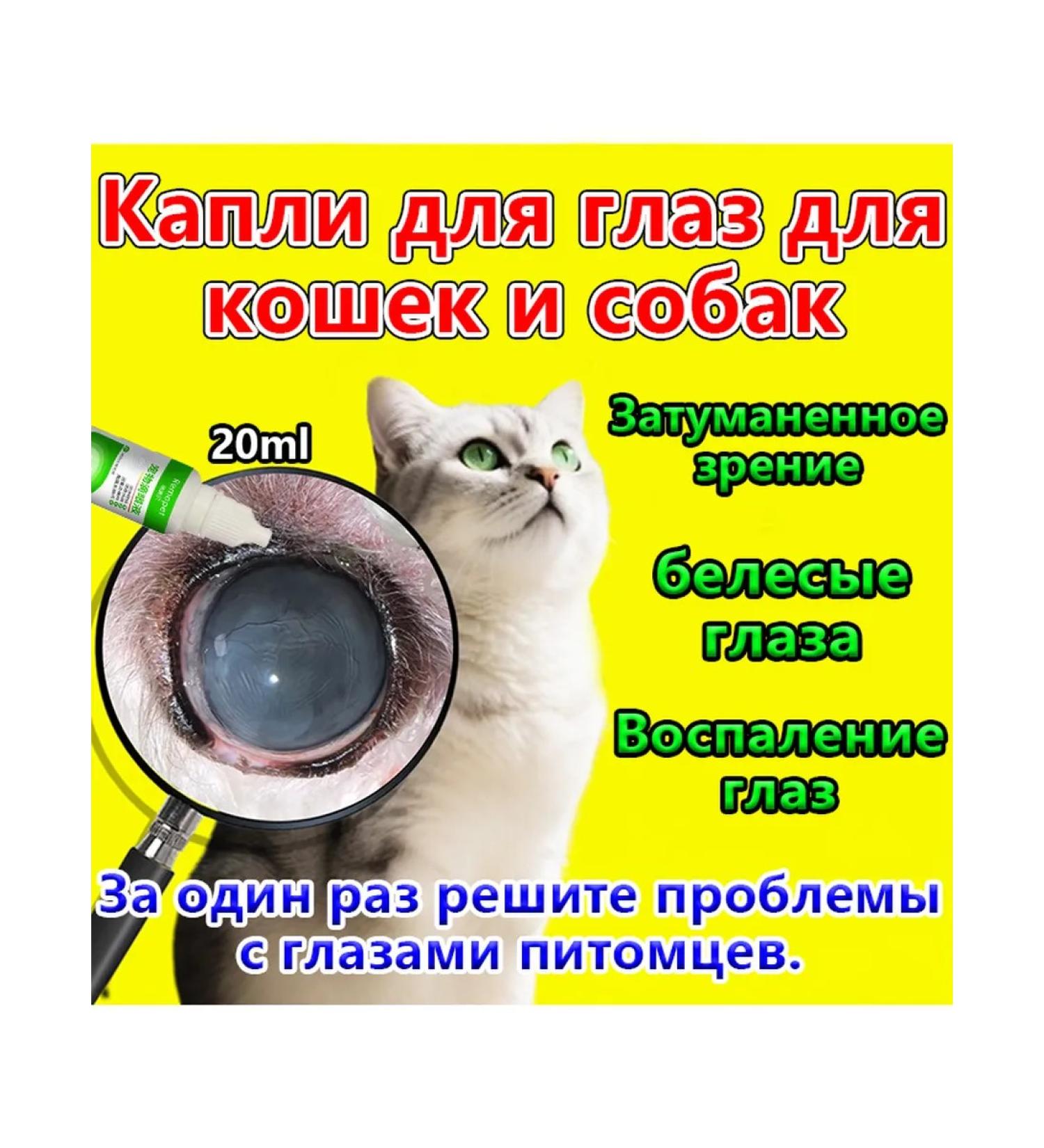 Drops for the eyes of dogs and cats20ml - Buy Online on GoSupps.com