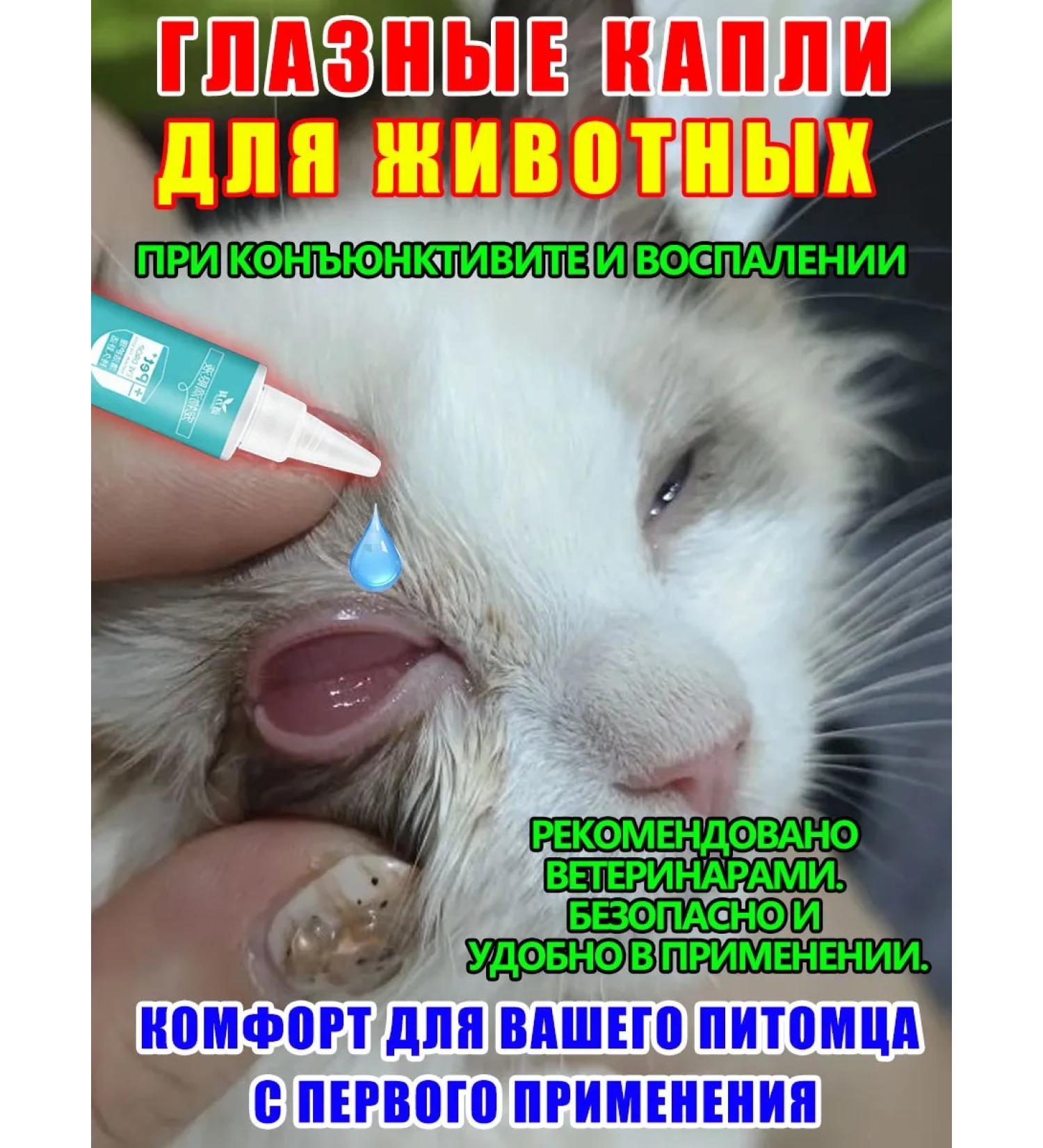 Eye drops for cats 300 ml - Buy Online on GoSupps.com