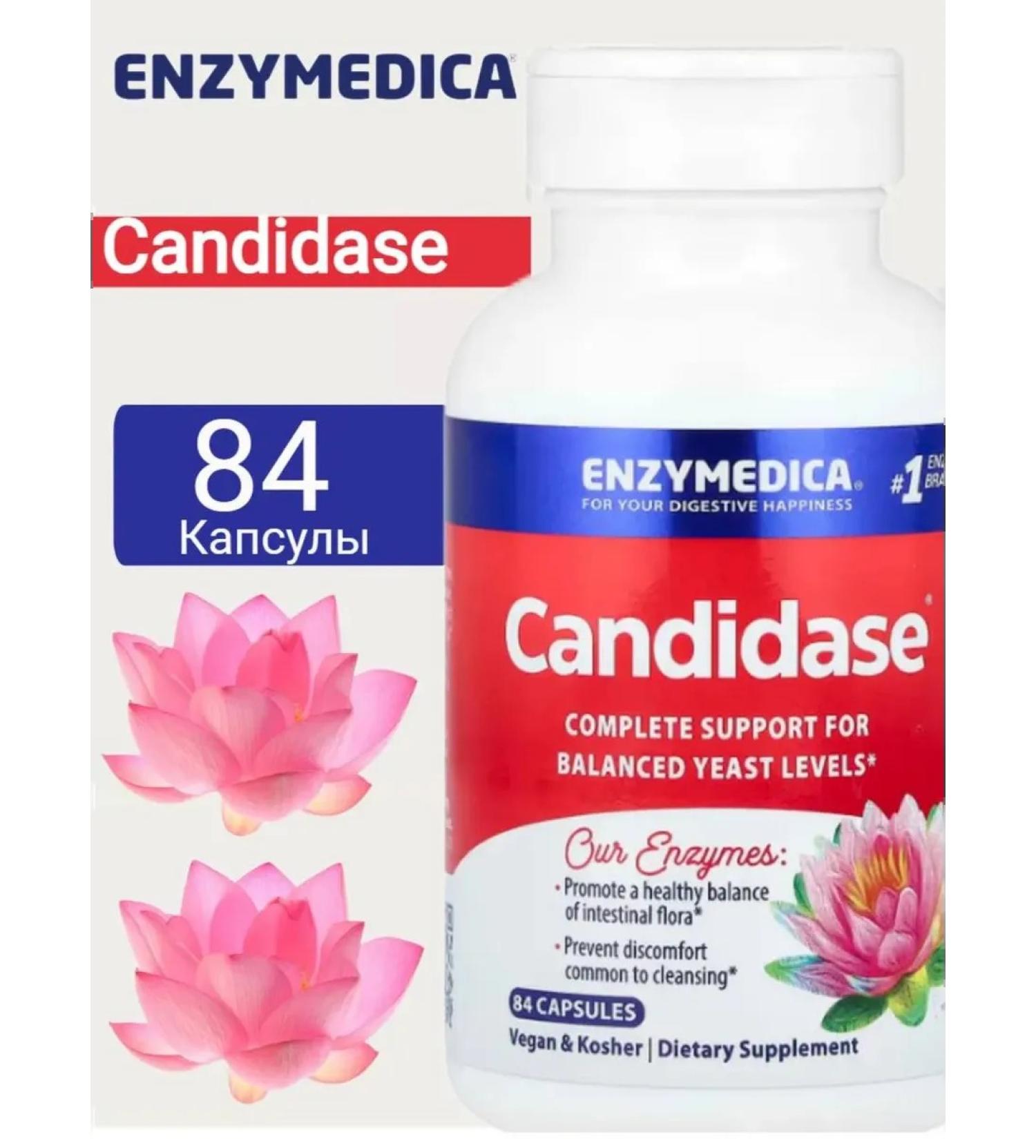 enzymedica Candidase candidate 84 - Buy Online on GoSupps.com