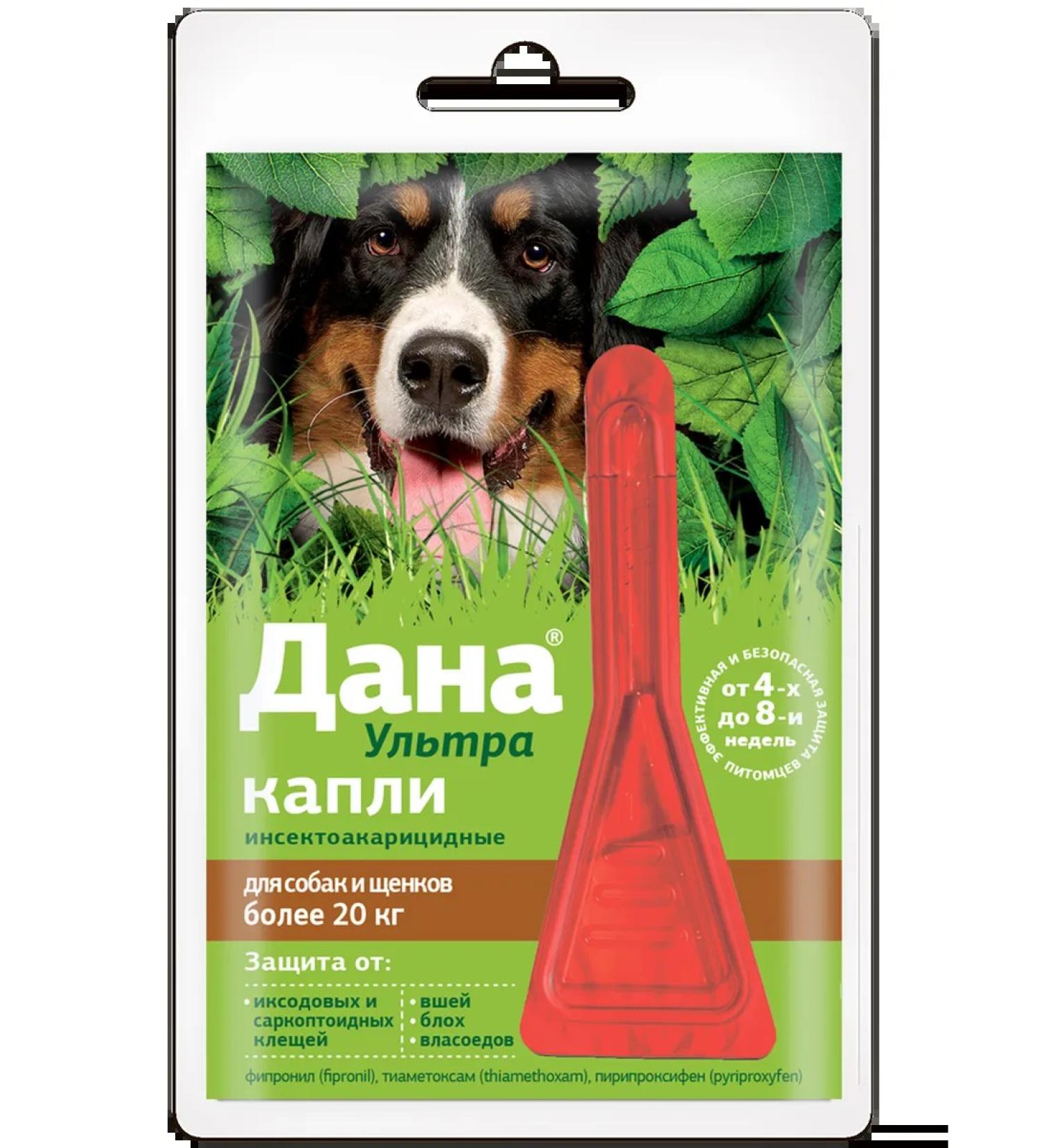 Apicenna Given ultra 3.2ml drops (more than 20 kg) for dogs 1pip