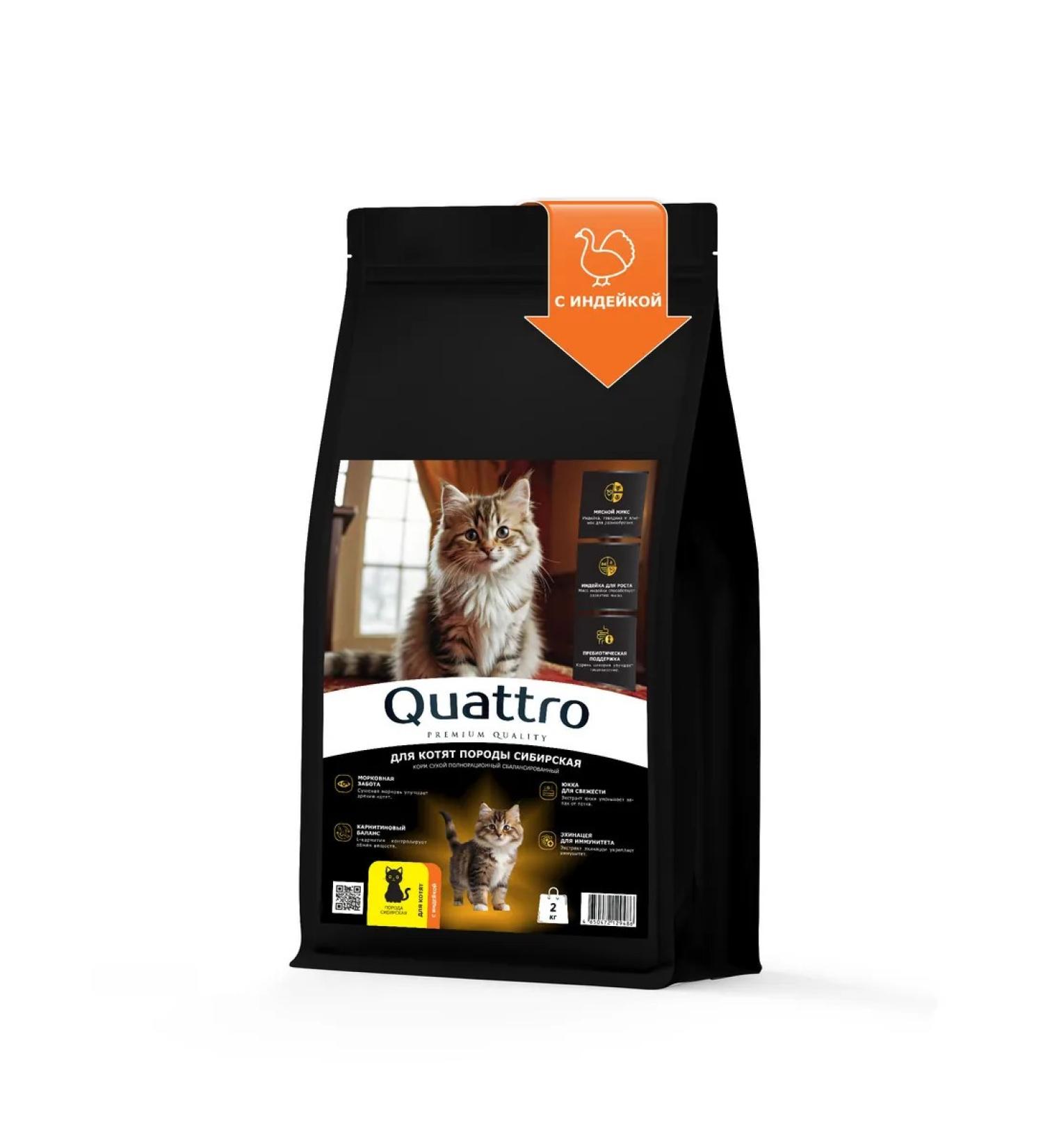 QUATTRO Dry food for kittens of Siberian breeds with turkey 2kg - Buy Online on GoSupps.com